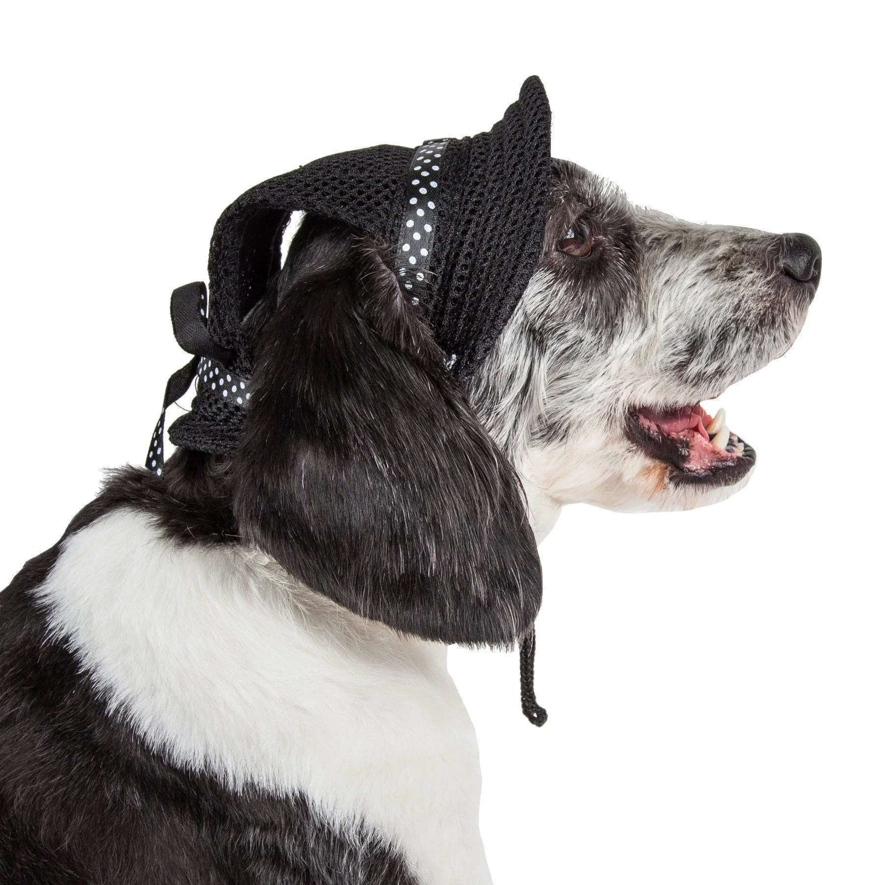 Pet Life ®  'Sea Spot Sun' UV Protectant Adjustable Fashion Mesh Brimmed Dog Hat Cap - Image 3