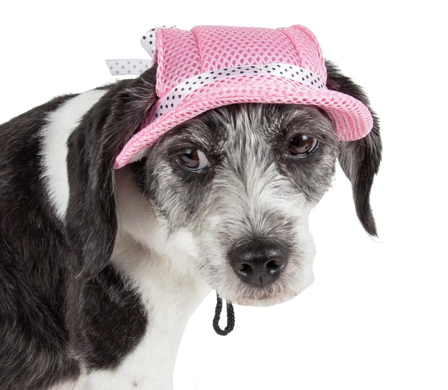 Pet Life ®  'Sea Spot Sun' UV Protectant Adjustable Fashion Mesh Brimmed Dog Hat Cap - Image 5