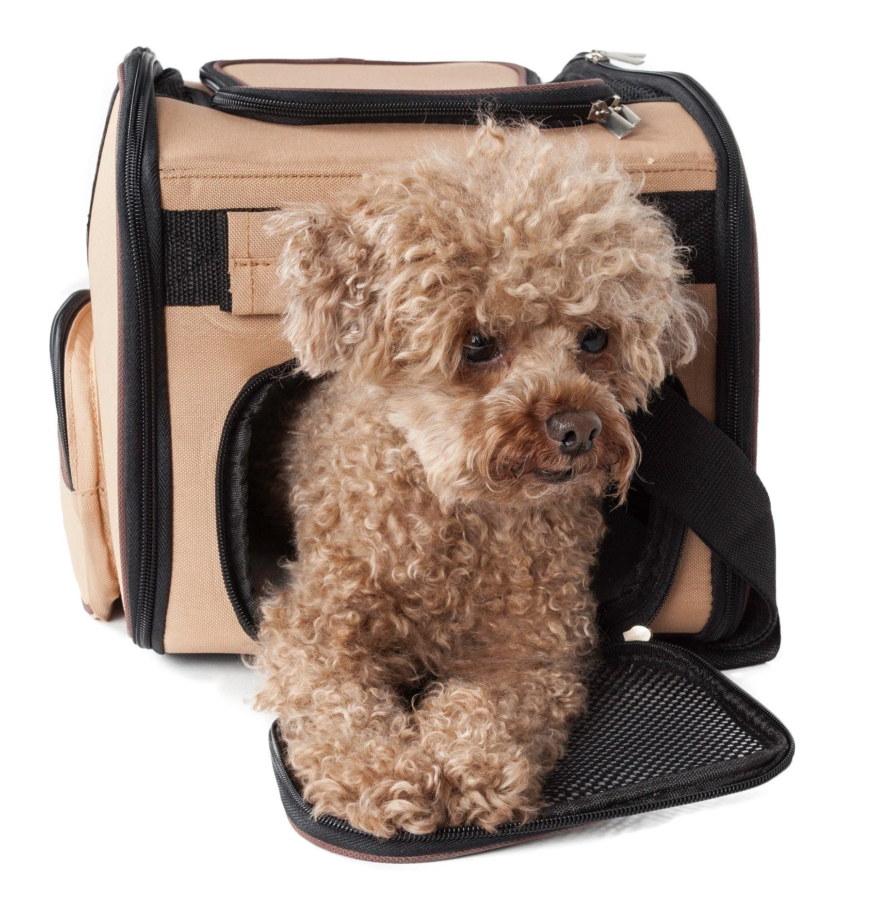 Pet Life ® 'Sky-Max' Airline Approved Designer Sporty Collapsible Travel Fashion Pet Dog Carrier - Image 7
