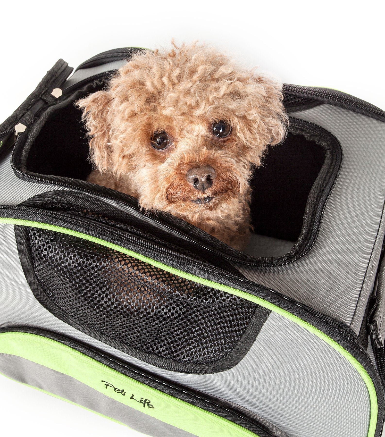 Pet Life ® 'Sky-Max' Airline Approved Designer Sporty Collapsible Travel Fashion Pet Dog Carrier - Image 8