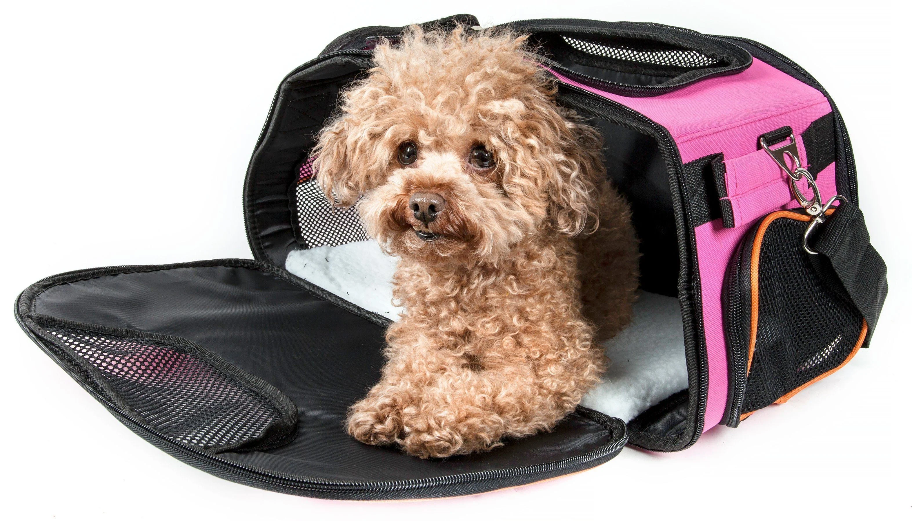 Pet Life ® 'Sky-Max' Airline Approved Designer Sporty Collapsible Travel Fashion Pet Dog Carrier - Image 9
