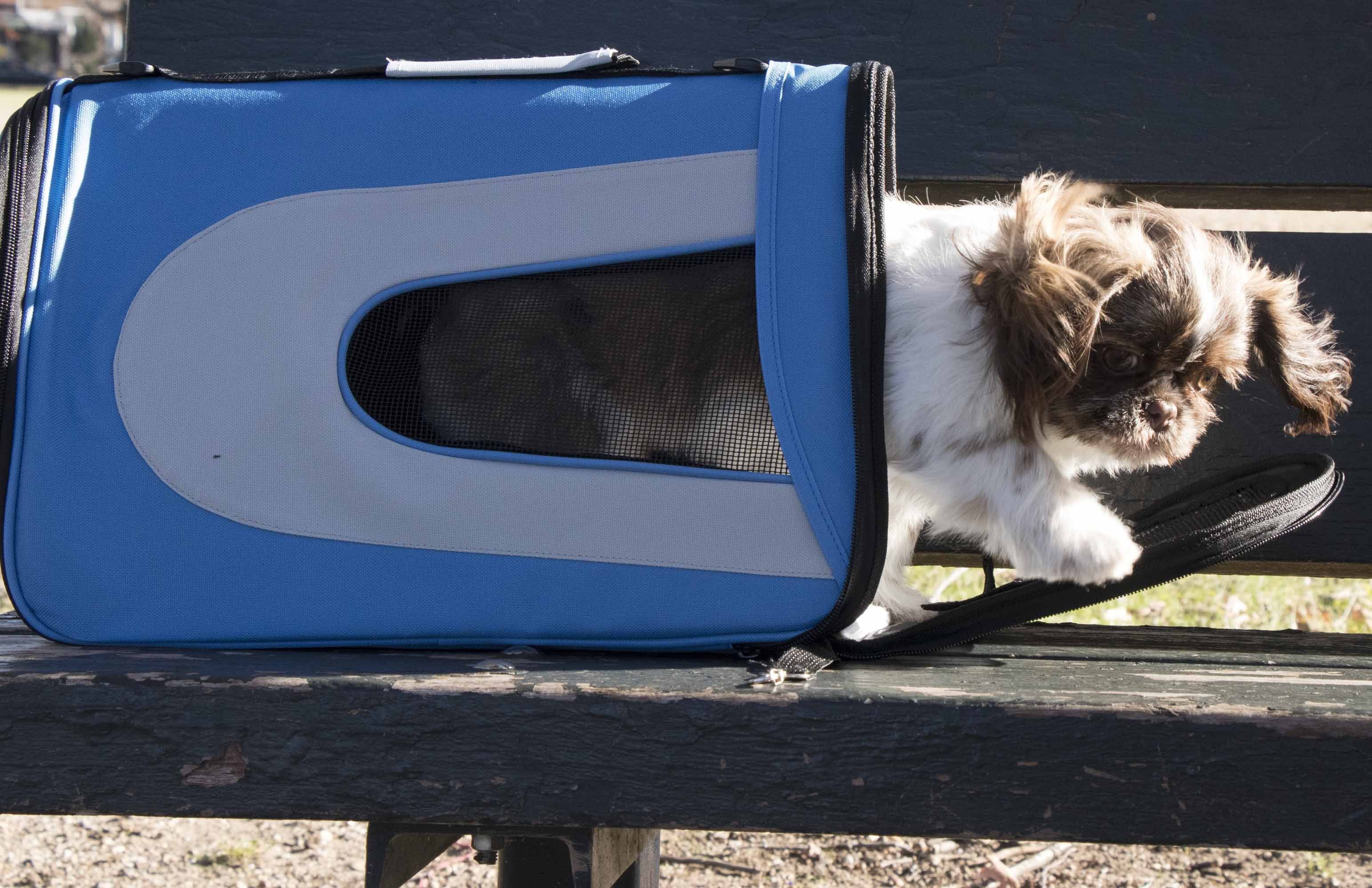Pet Life ® Sporty Mesh Airline Approved Zippered Folding Collapsible Travel Pet Dog Carrier - Image 19