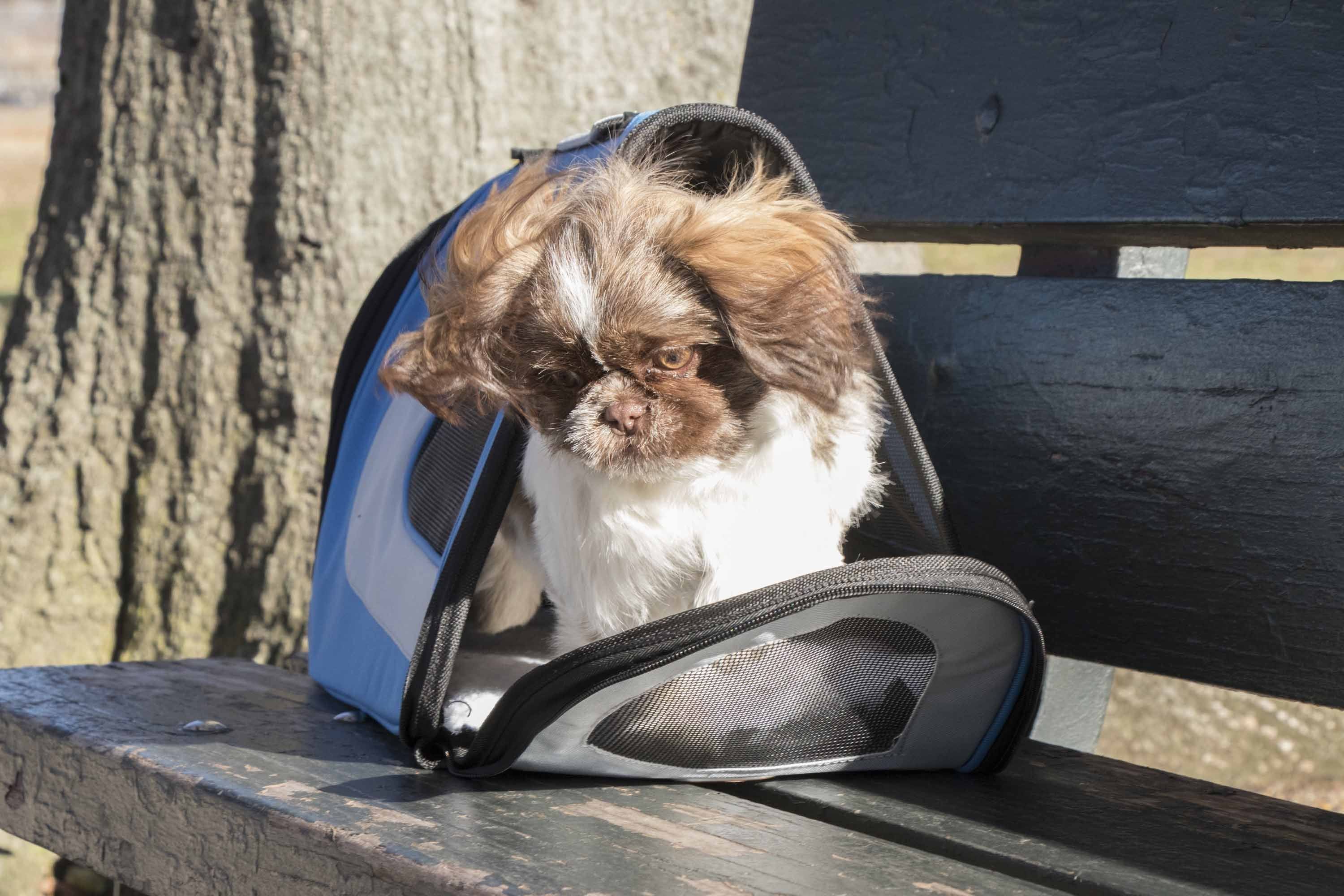 Pet Life ® Sporty Mesh Airline Approved Zippered Folding Collapsible Travel Pet Dog Carrier - Image 20