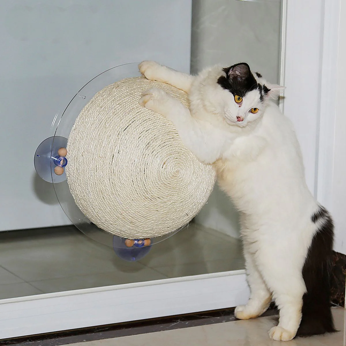 Pet Life ® 'Stick N' Claw' Sisal Rope and Toy Suction Cup Circular Cat Scratcher - Image 6