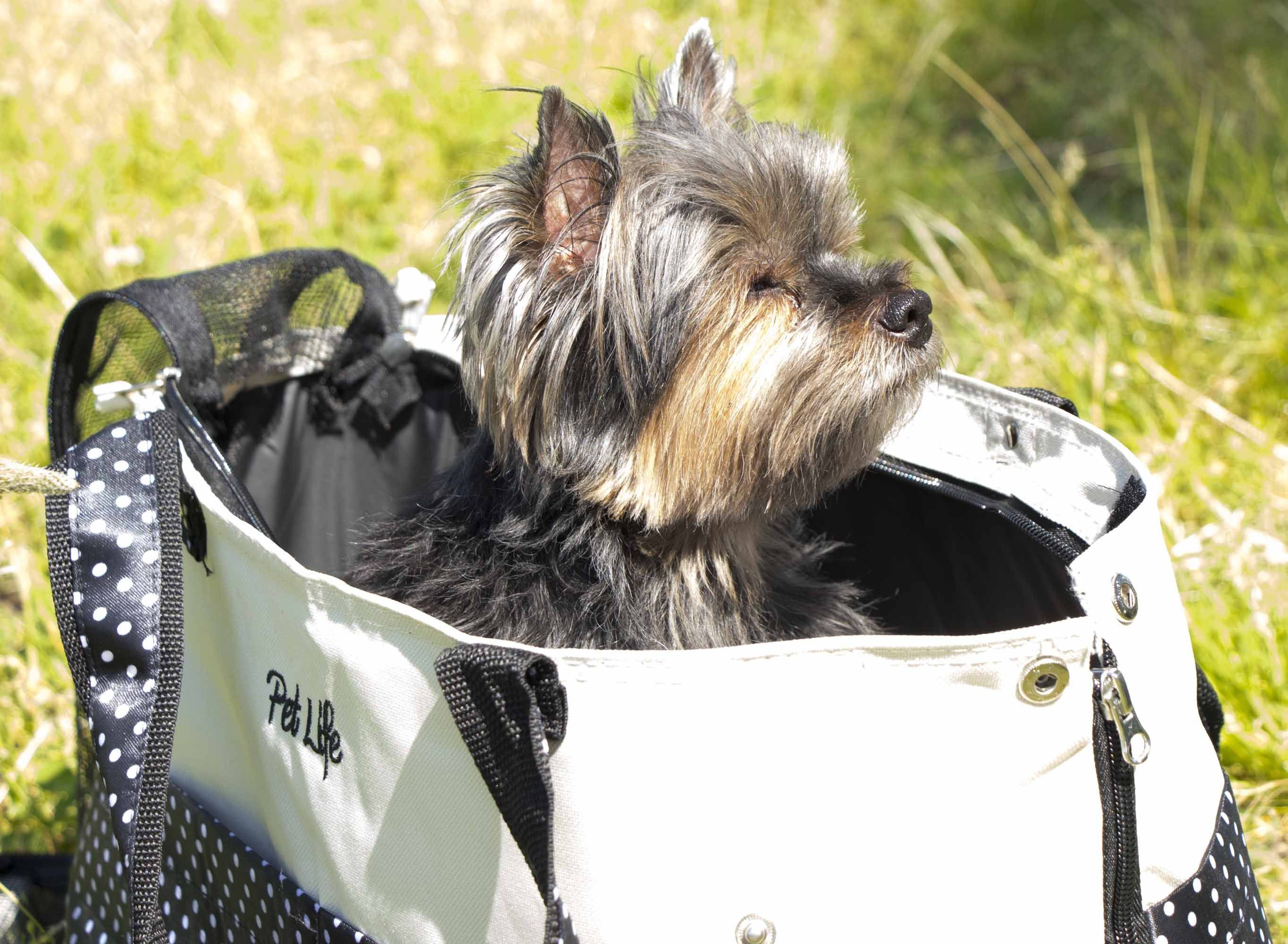 Pet Life ® 'Tote n' Boater' Trendy Spotted Designer Fashion Travel Pet Dog Carrier - Image 4