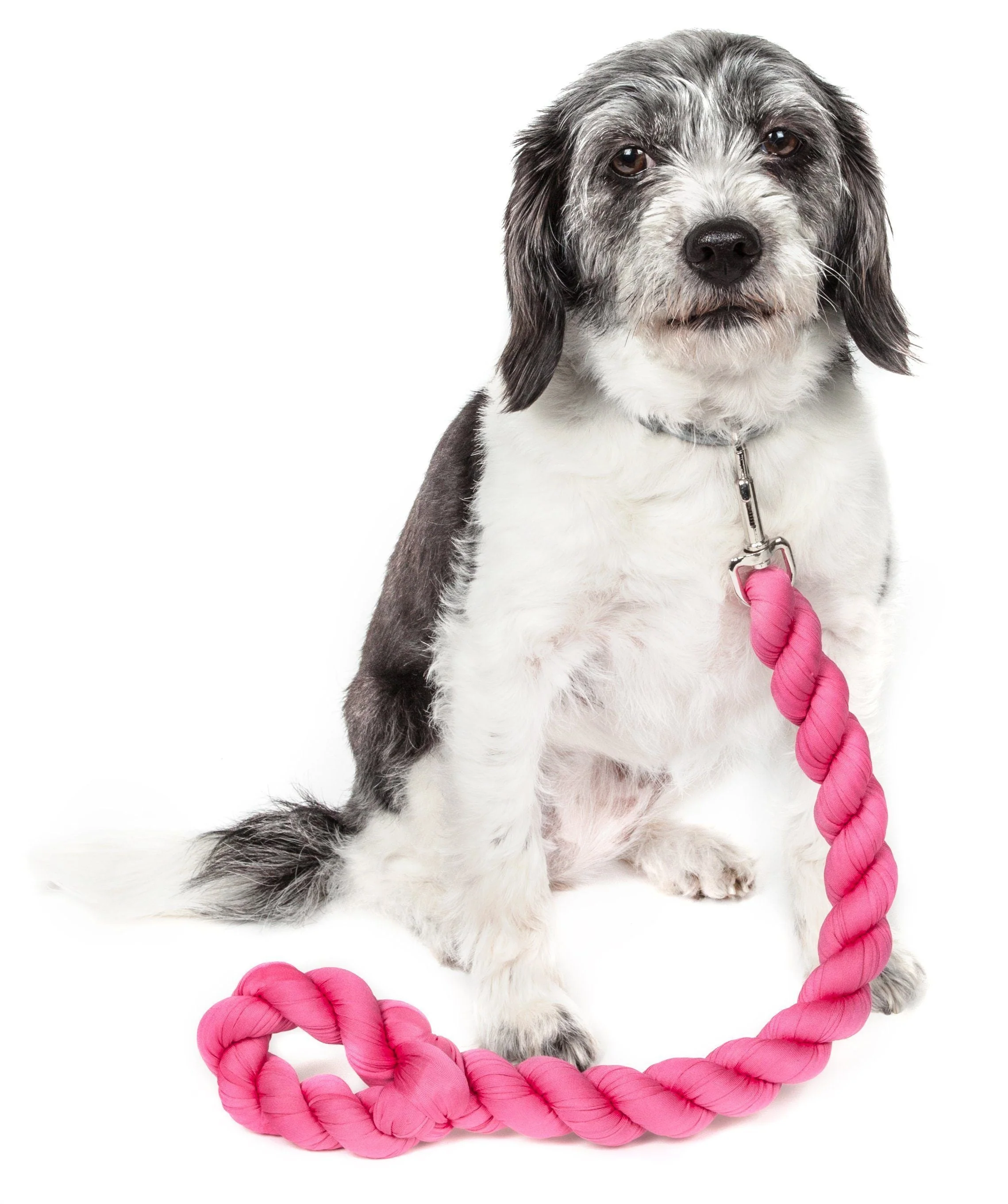 Pet Life ® 'Tough-Tugger' Industrial-Strength Shock Absorption Woven Pet Dog Leash - Image 2
