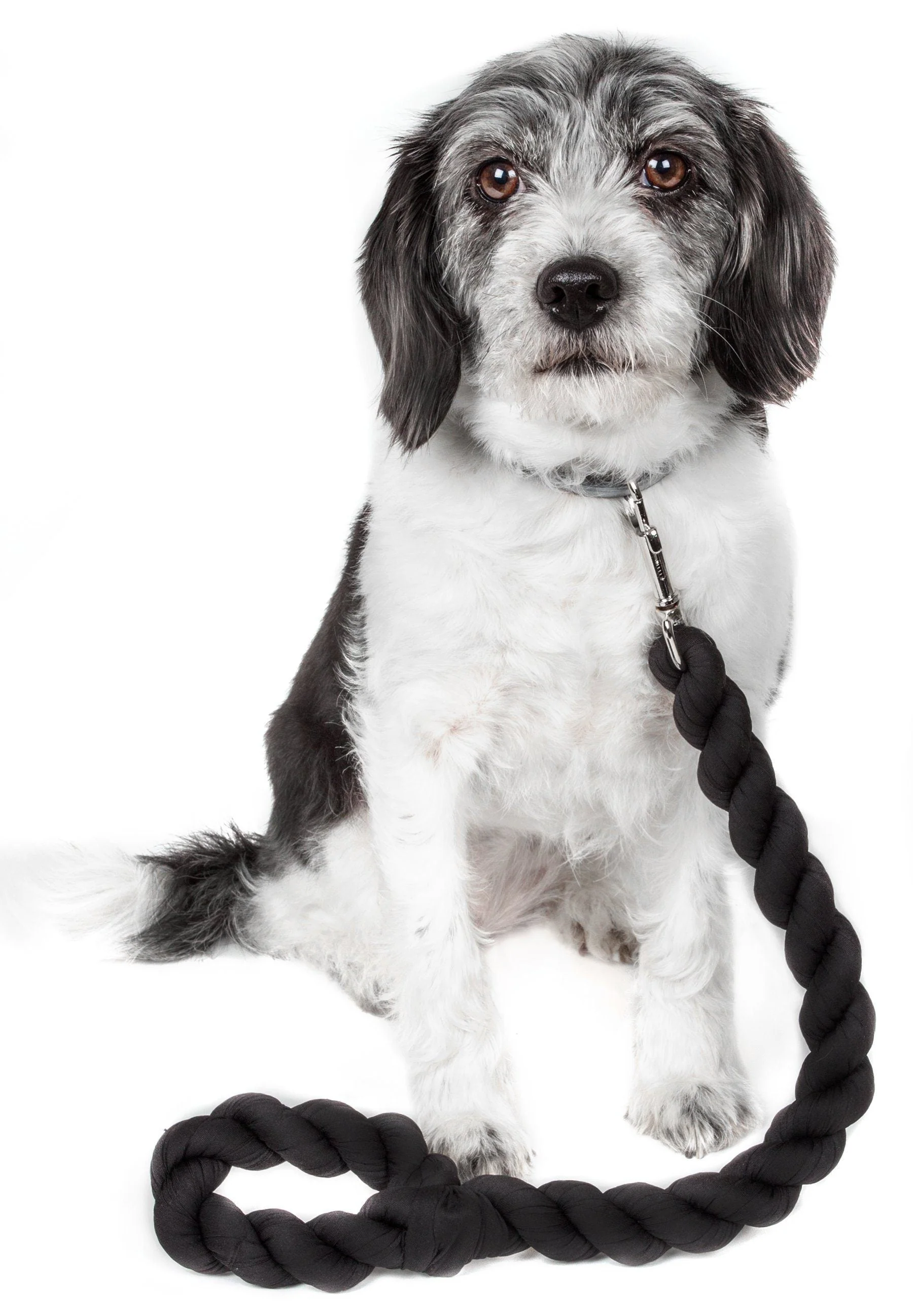 Pet Life ® 'Tough-Tugger' Industrial-Strength Shock Absorption Woven Pet Dog Leash - Image 3