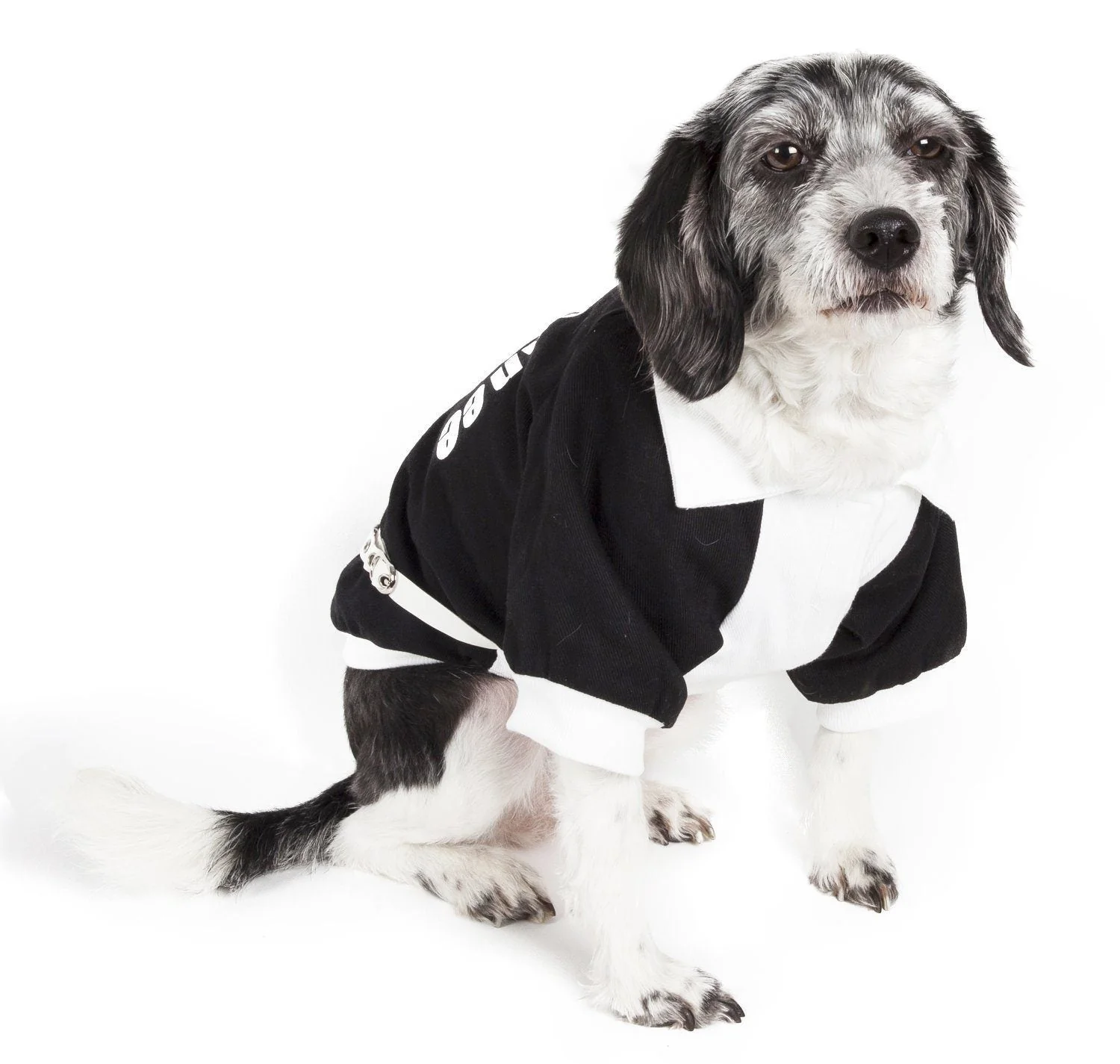 Pet Life ® 'Varsity-Barkcity' Buckled Collared Dog Coat Jacket - Image 2