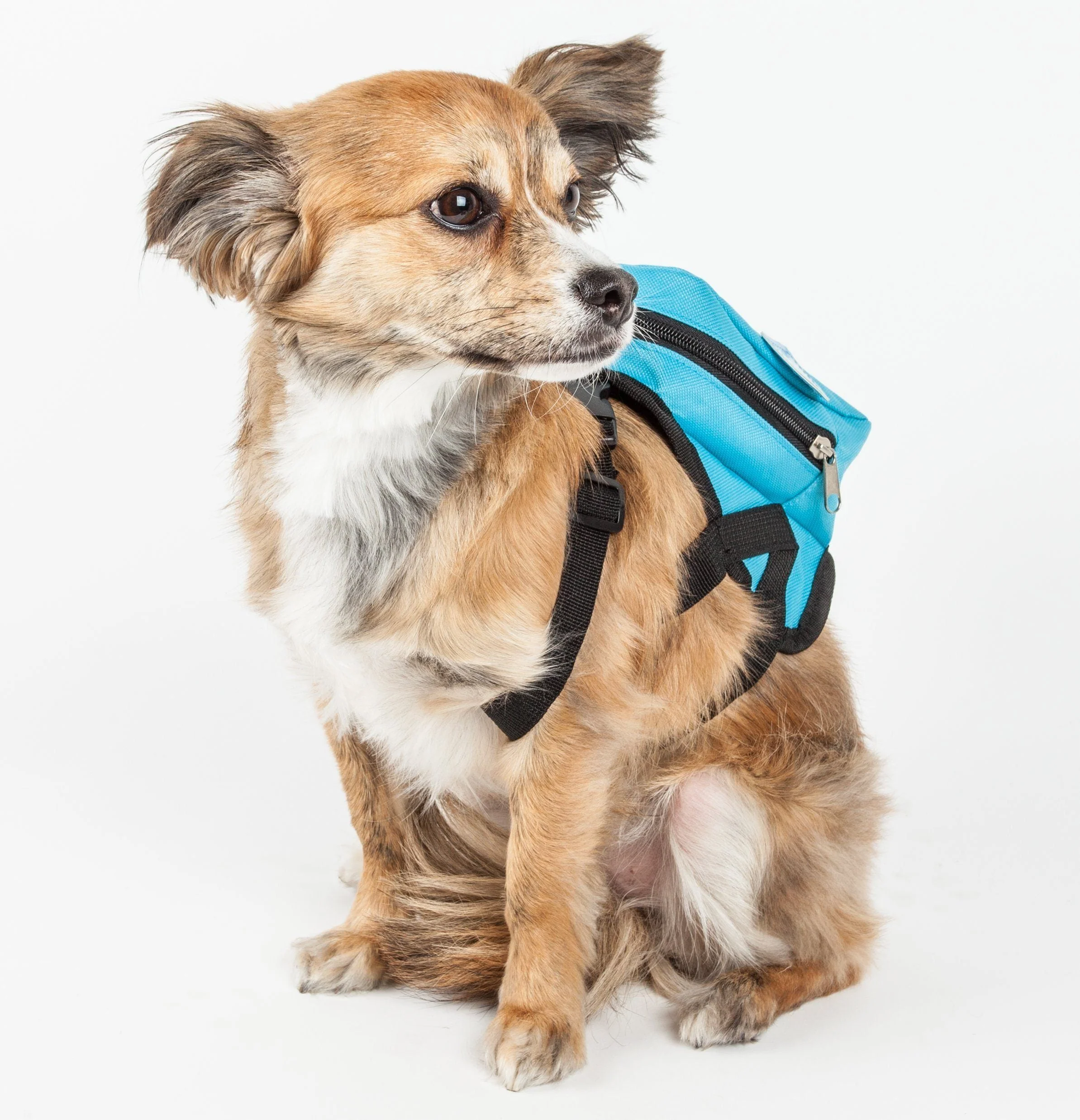 Pet Life ® 'Waggler Hobbler' Large-Pocketed Animated Fashion Dog Harness Backpack - Image 3