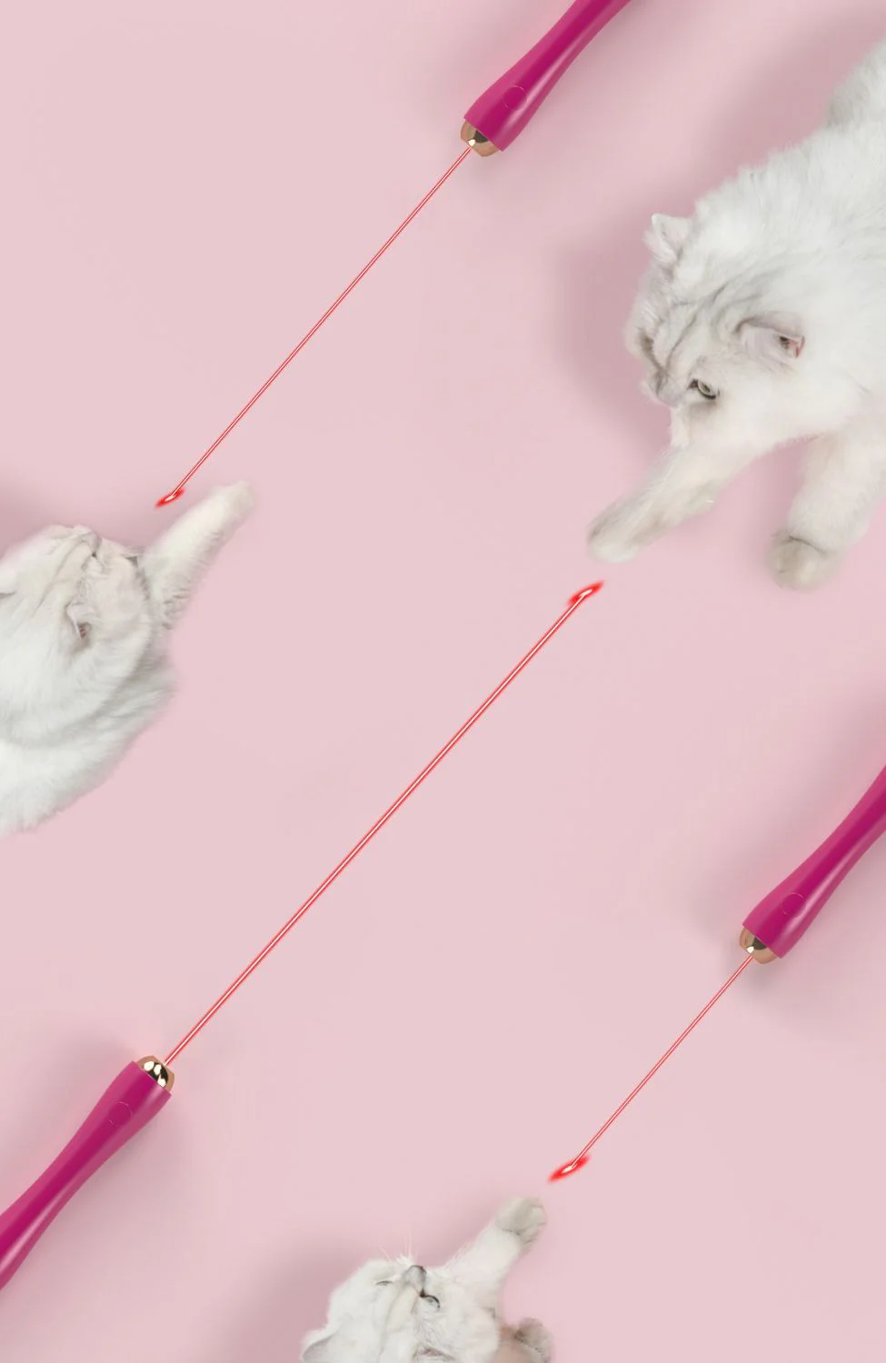 Pet Life ® 'Wander-cat' Customizeable and Extendable 10-in-1 Attachment Laser Cat Teaser - Image 3