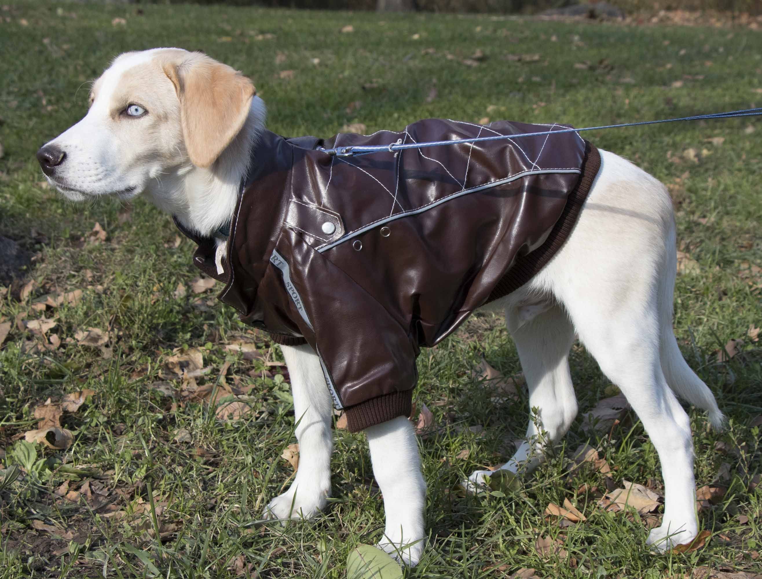 Pet Life ® 'Wuff-Rider' Fashion Suede Stitched Dog Jacket - Image 6