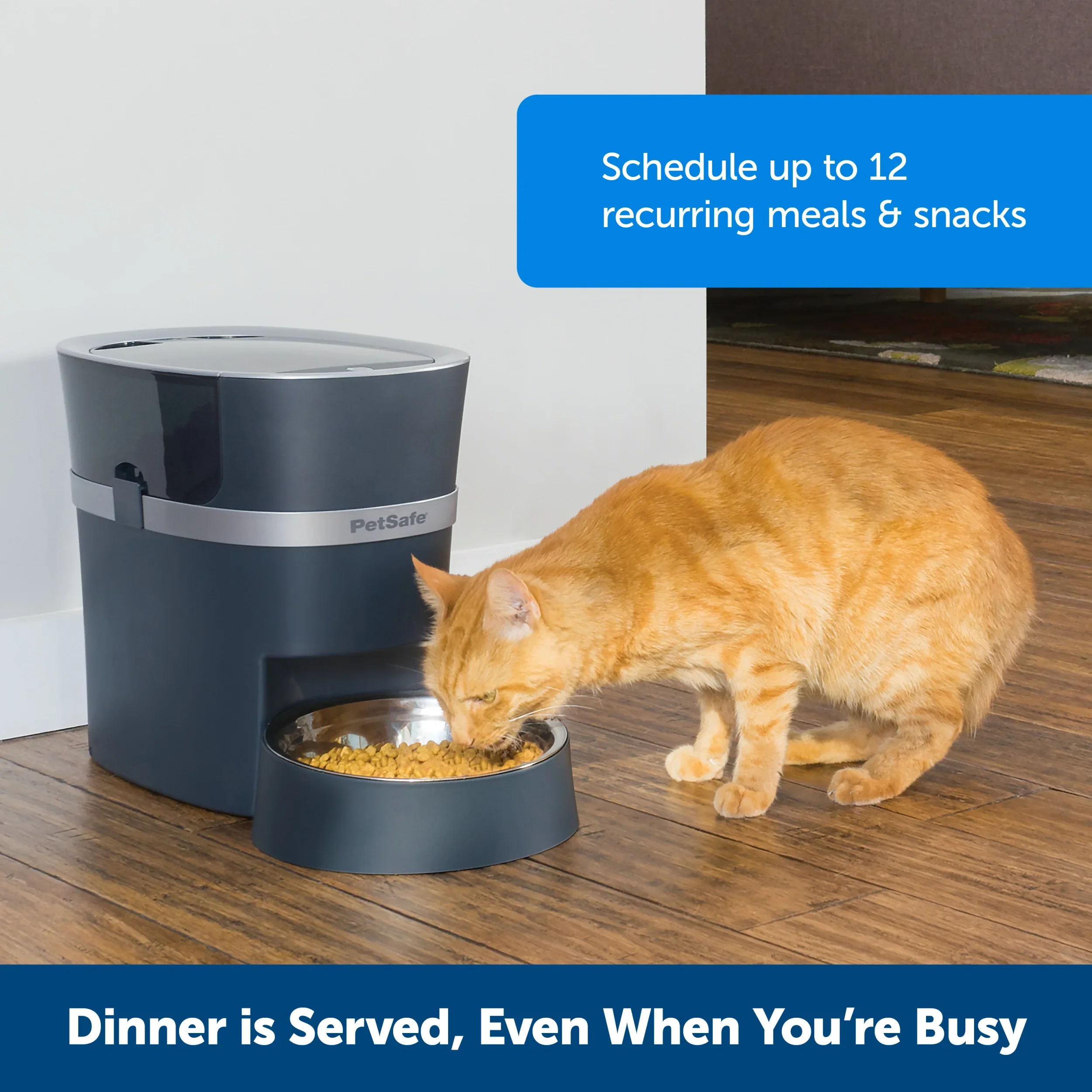 PetSafe Smart Feed Automatic Dog & Cat Feeder (2nd Gen) - Image 4