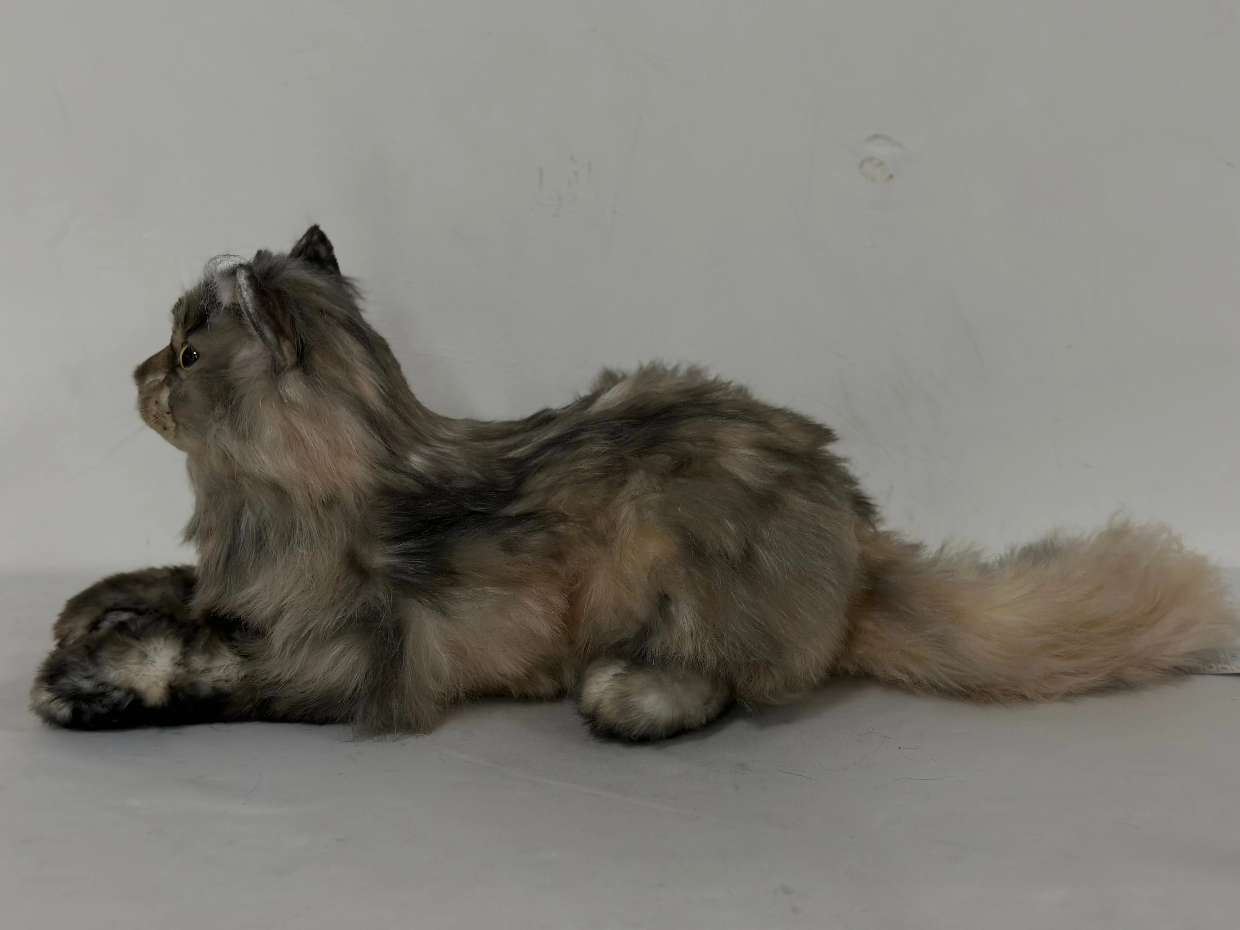 Plush American Tabby Cat Longhair Order to Make - Image 3