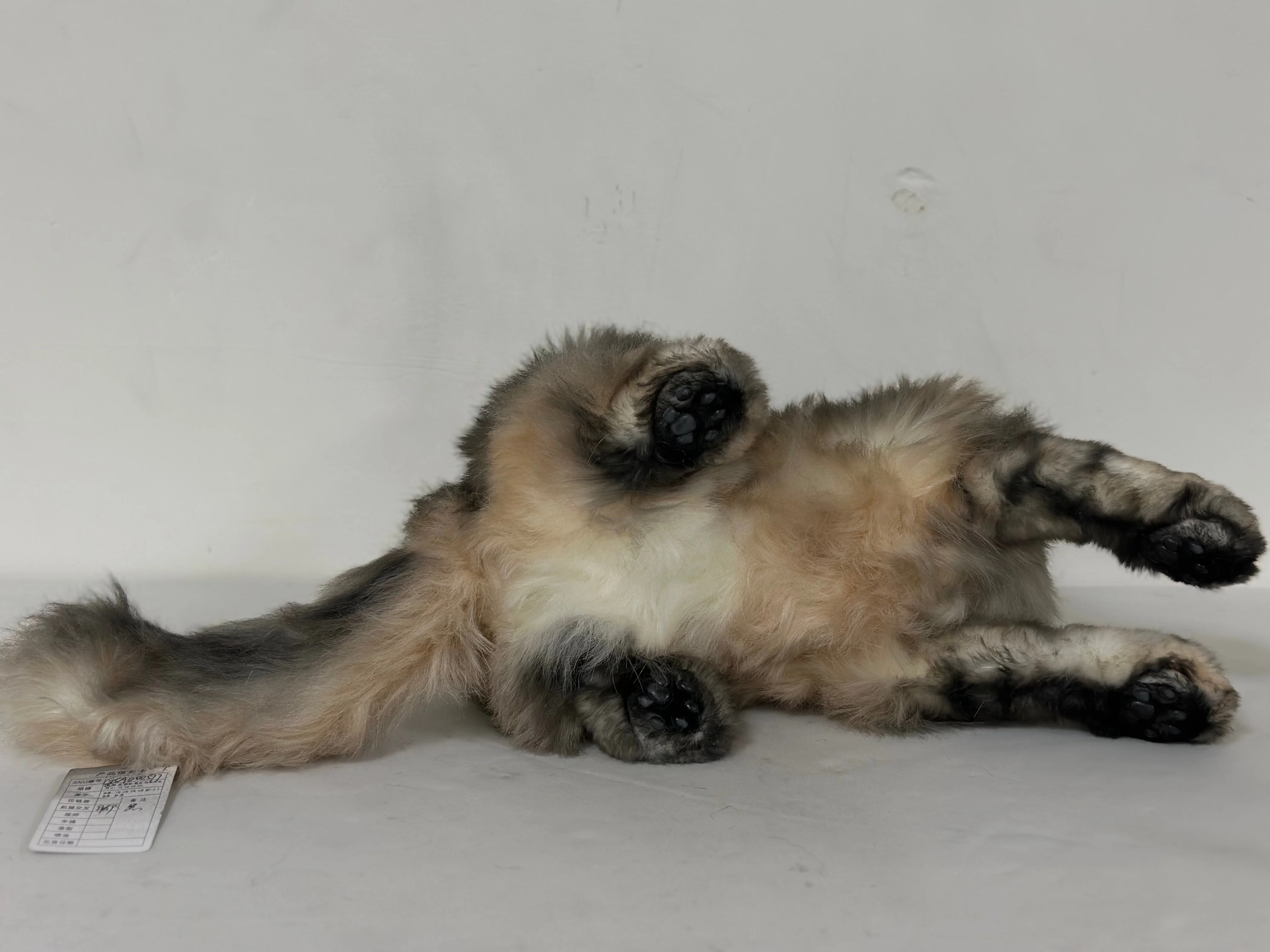 Plush American Tabby Cat Longhair Order to Make - Image 5