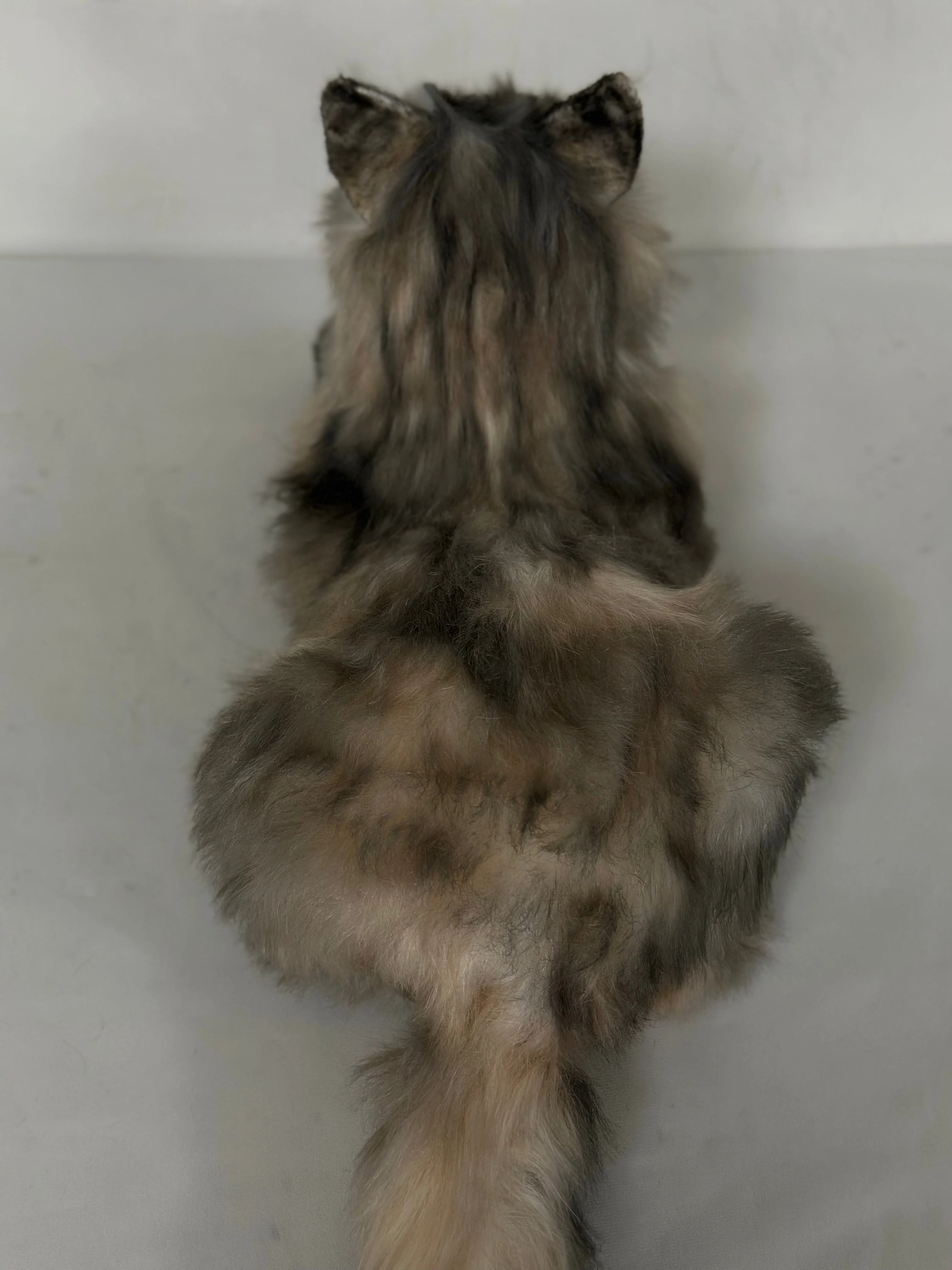Plush American Tabby Cat Longhair Order to Make - Image 6