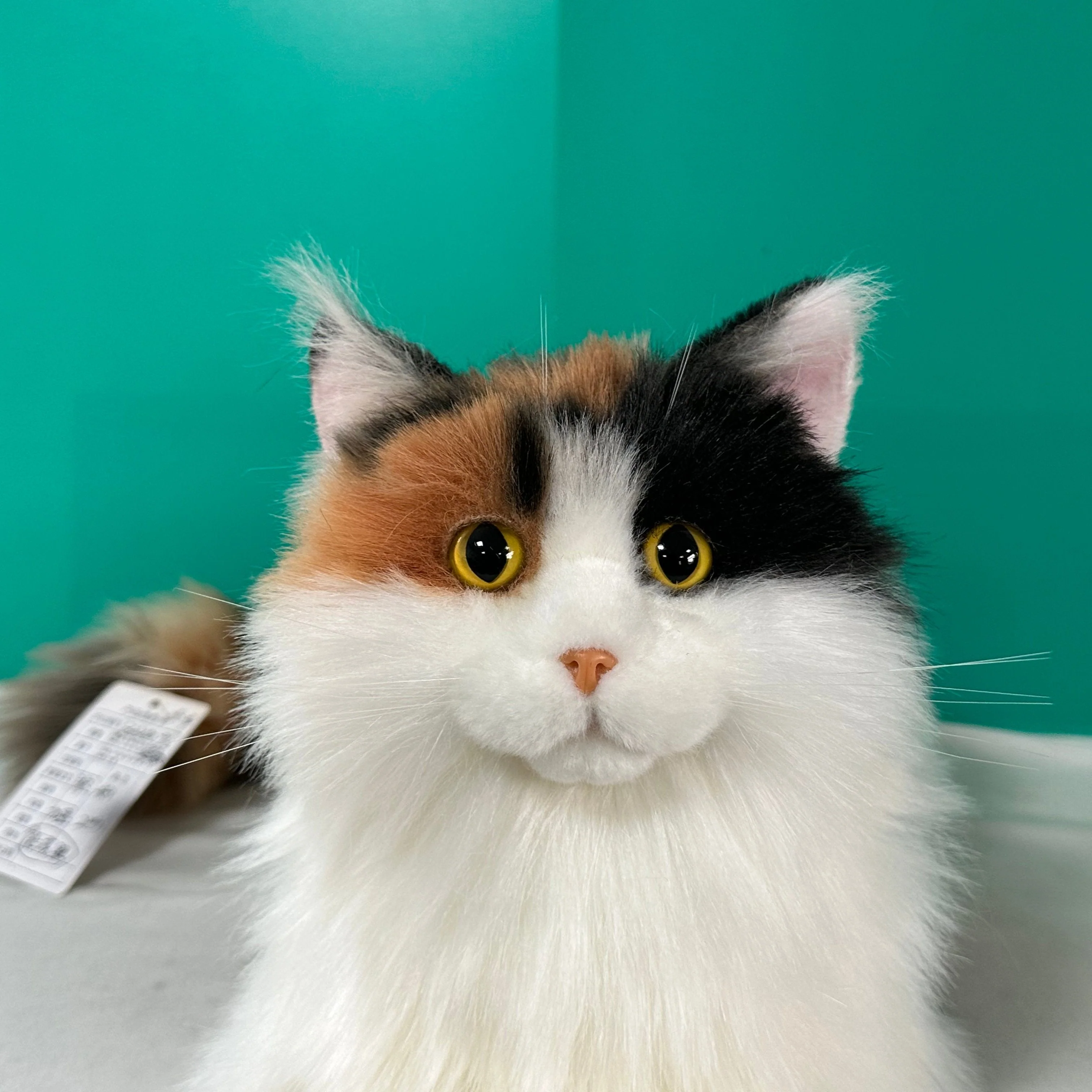 Plush Calico Cat Order to Make - Image 2