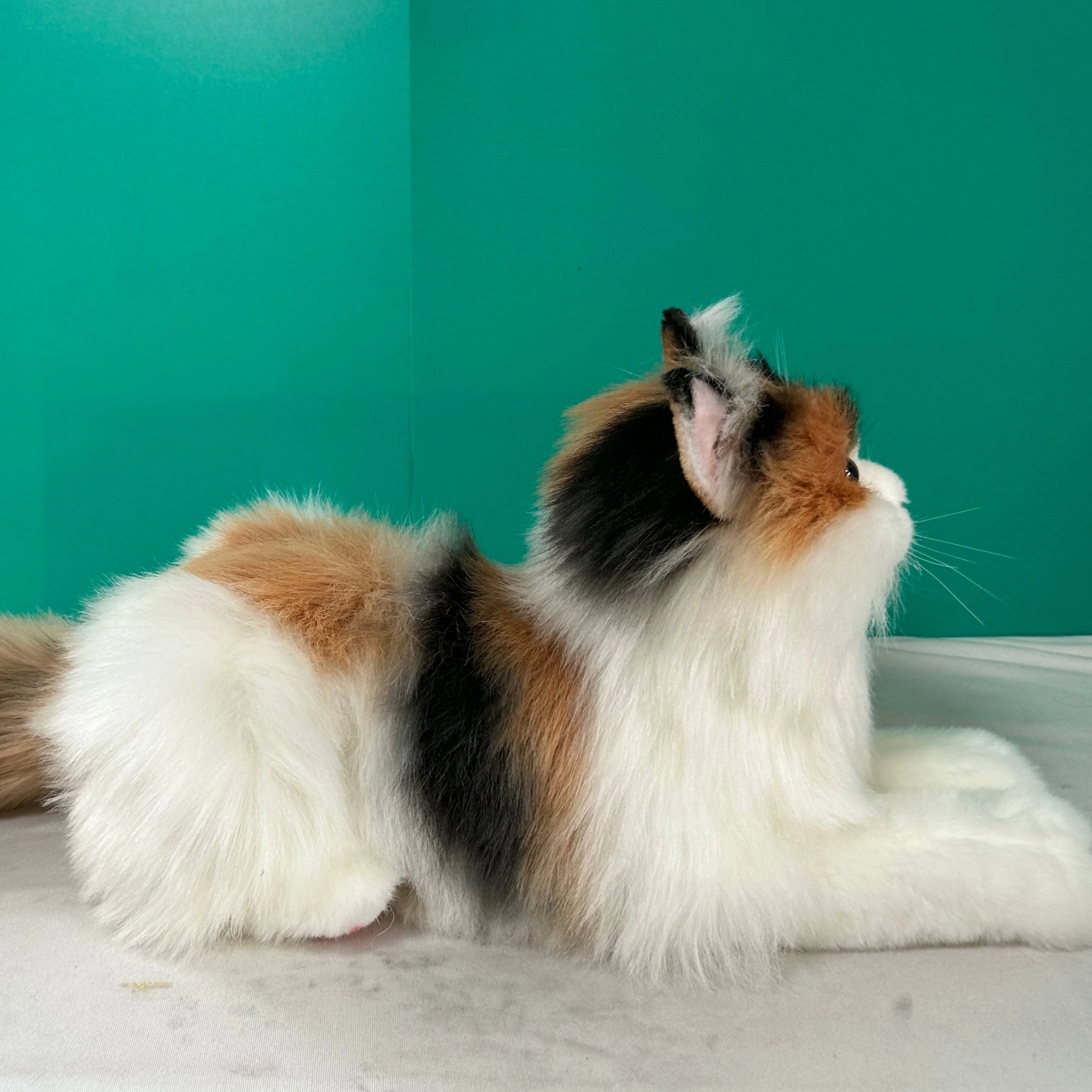 Plush Calico Cat Order to Make - Image 4