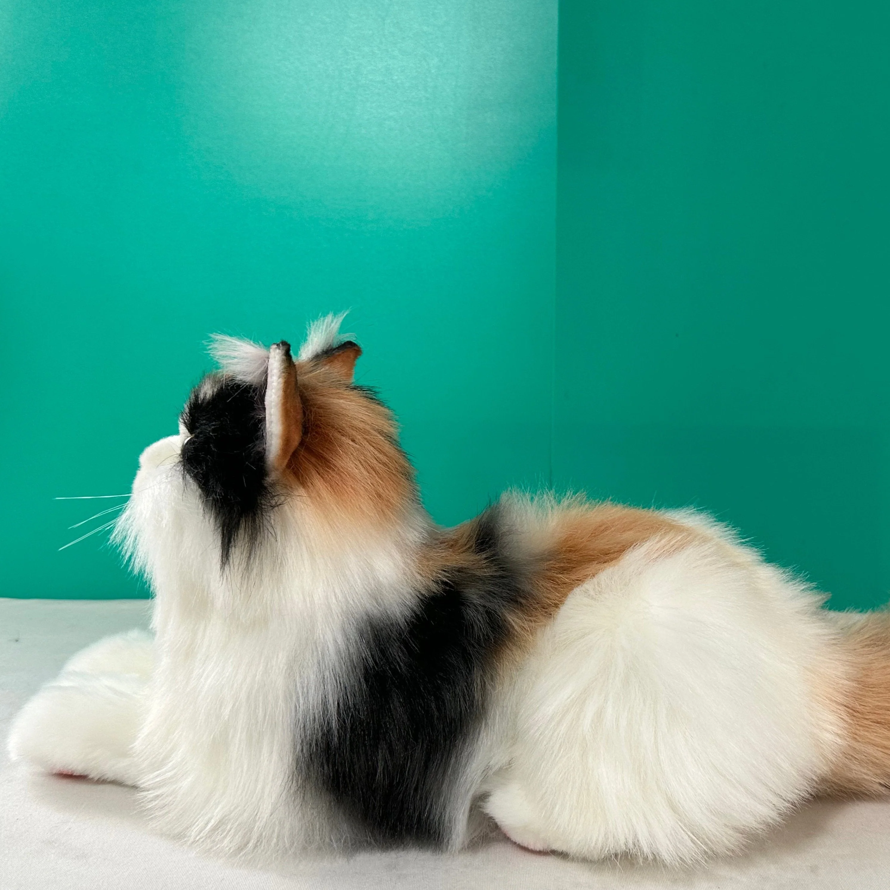 Plush Calico Cat Order to Make - Image 5