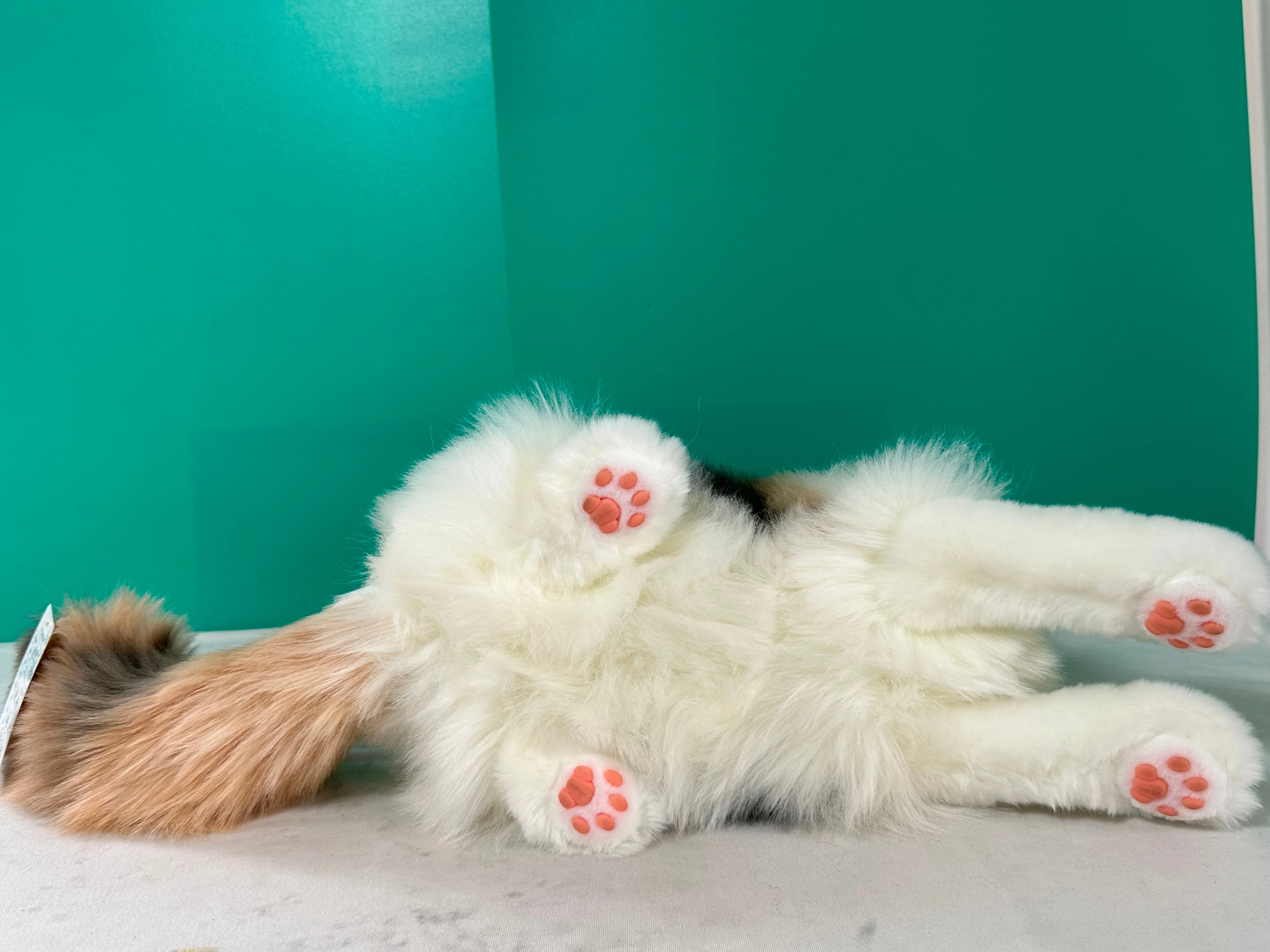 Plush Calico Cat Order to Make - Image 6