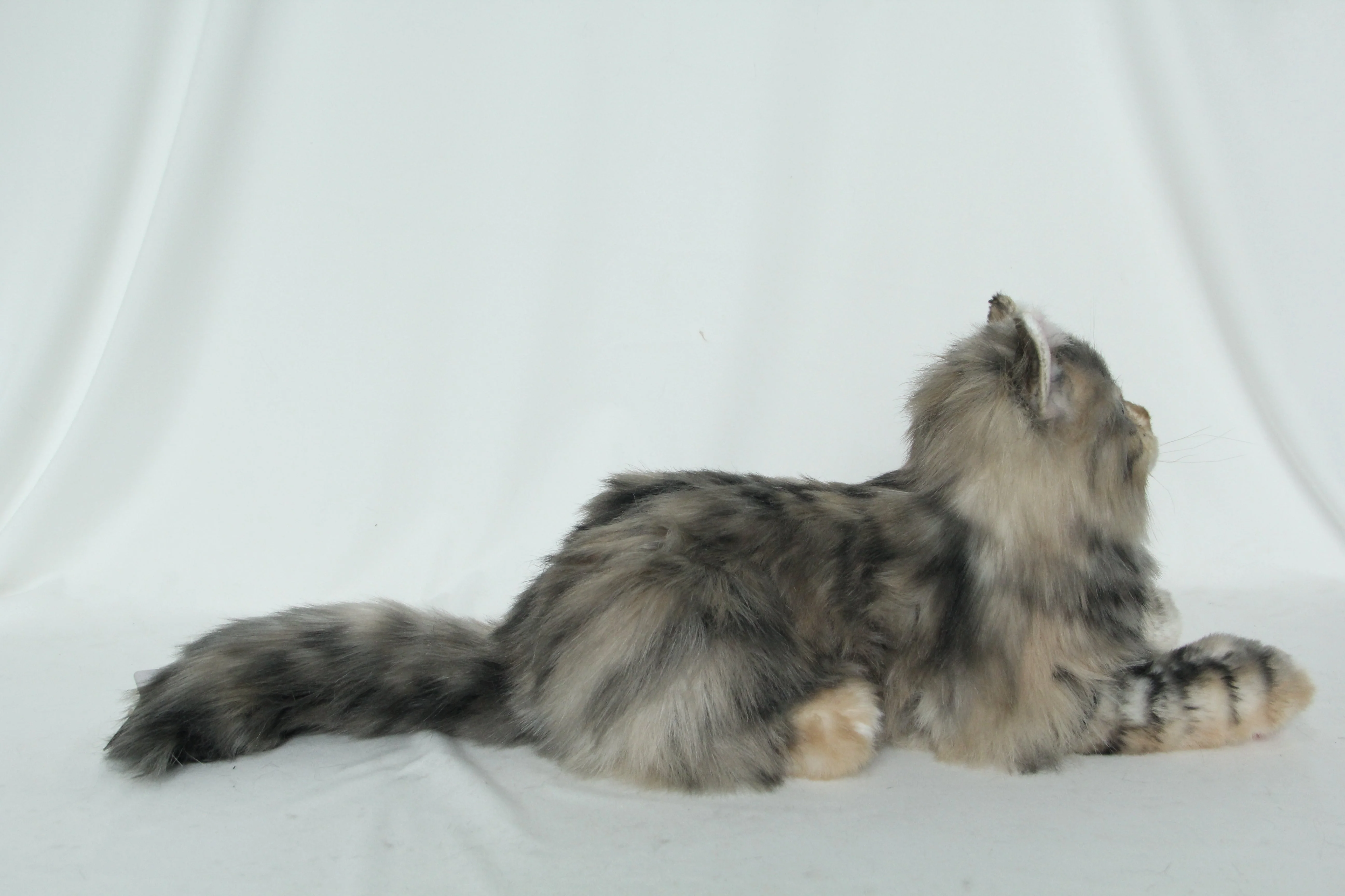 Plush Li-Hua Cat Longhair Order to Make - Image 4