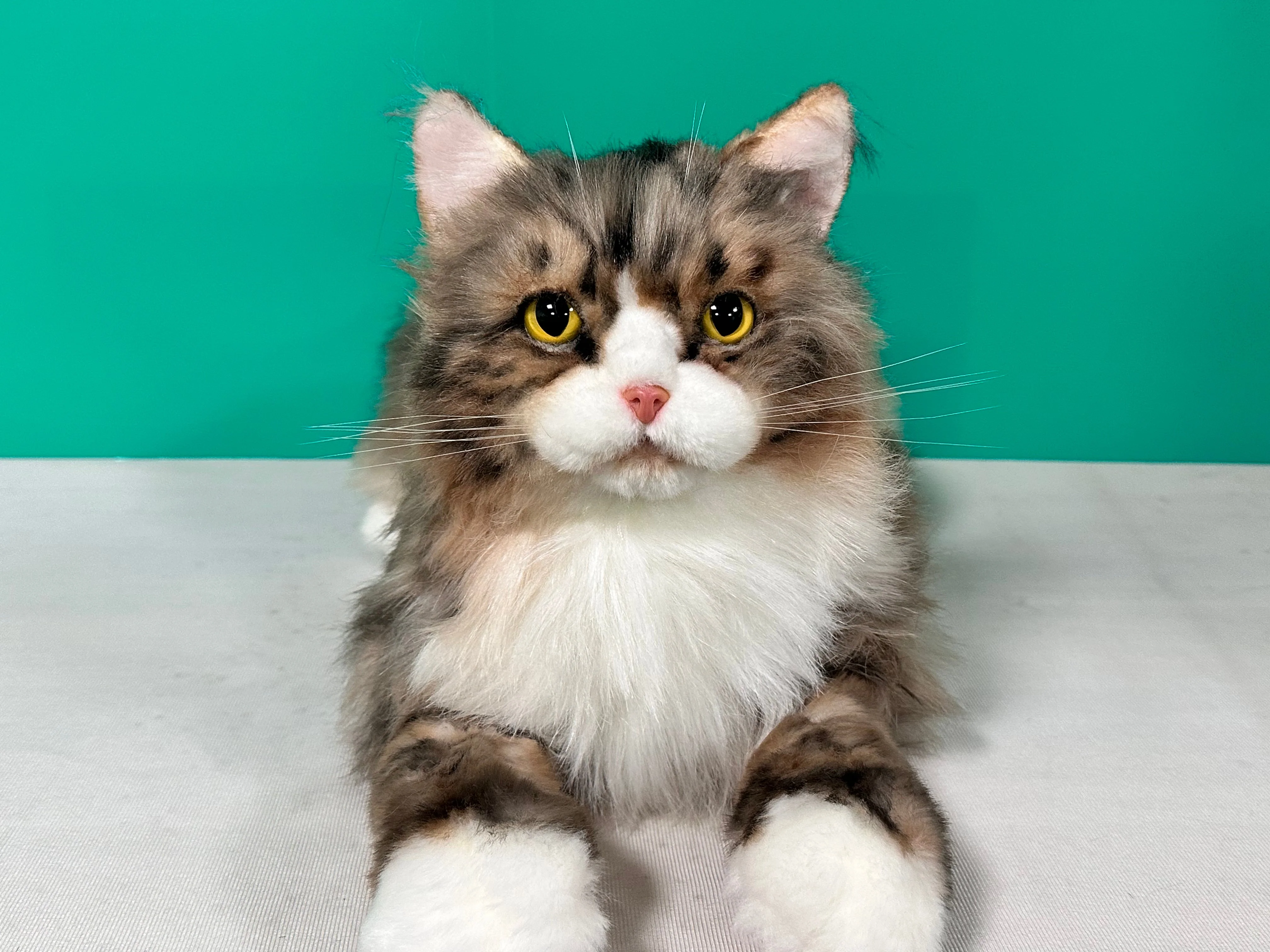 Plush Norwegian Forest Cat Order to Make - Image 2