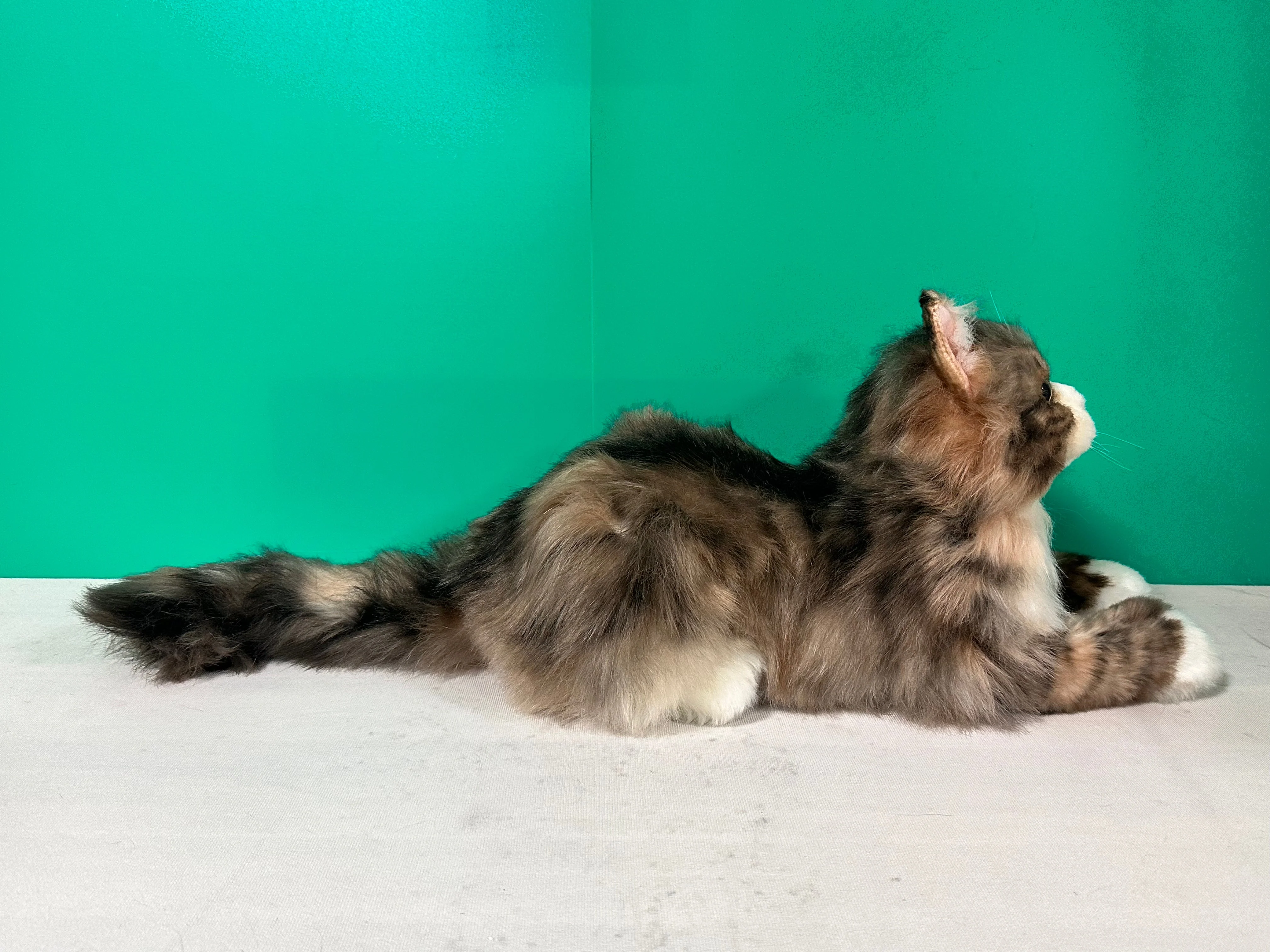 Plush Norwegian Forest Cat Order to Make - Image 3