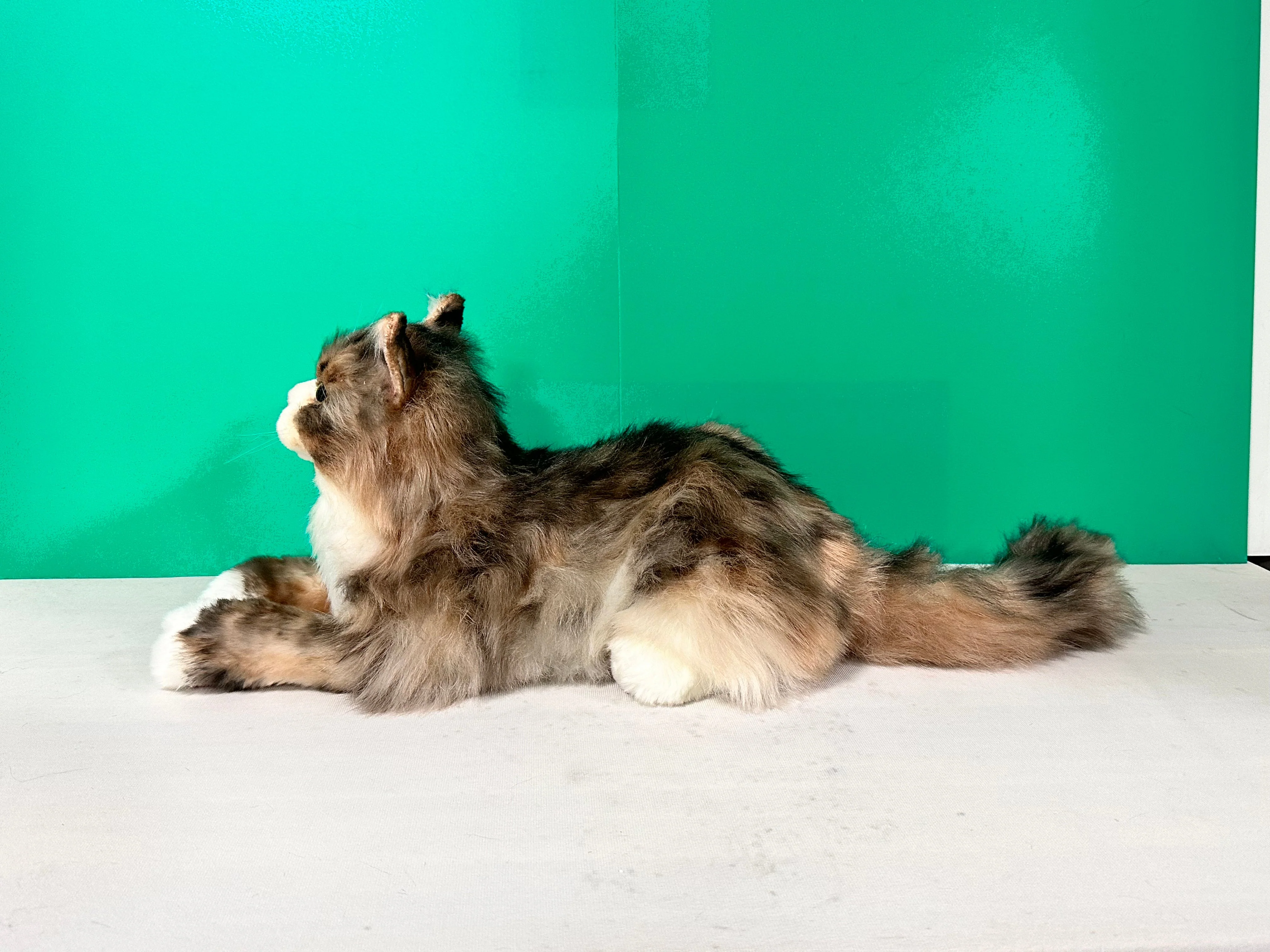 Plush Norwegian Forest Cat Order to Make - Image 4