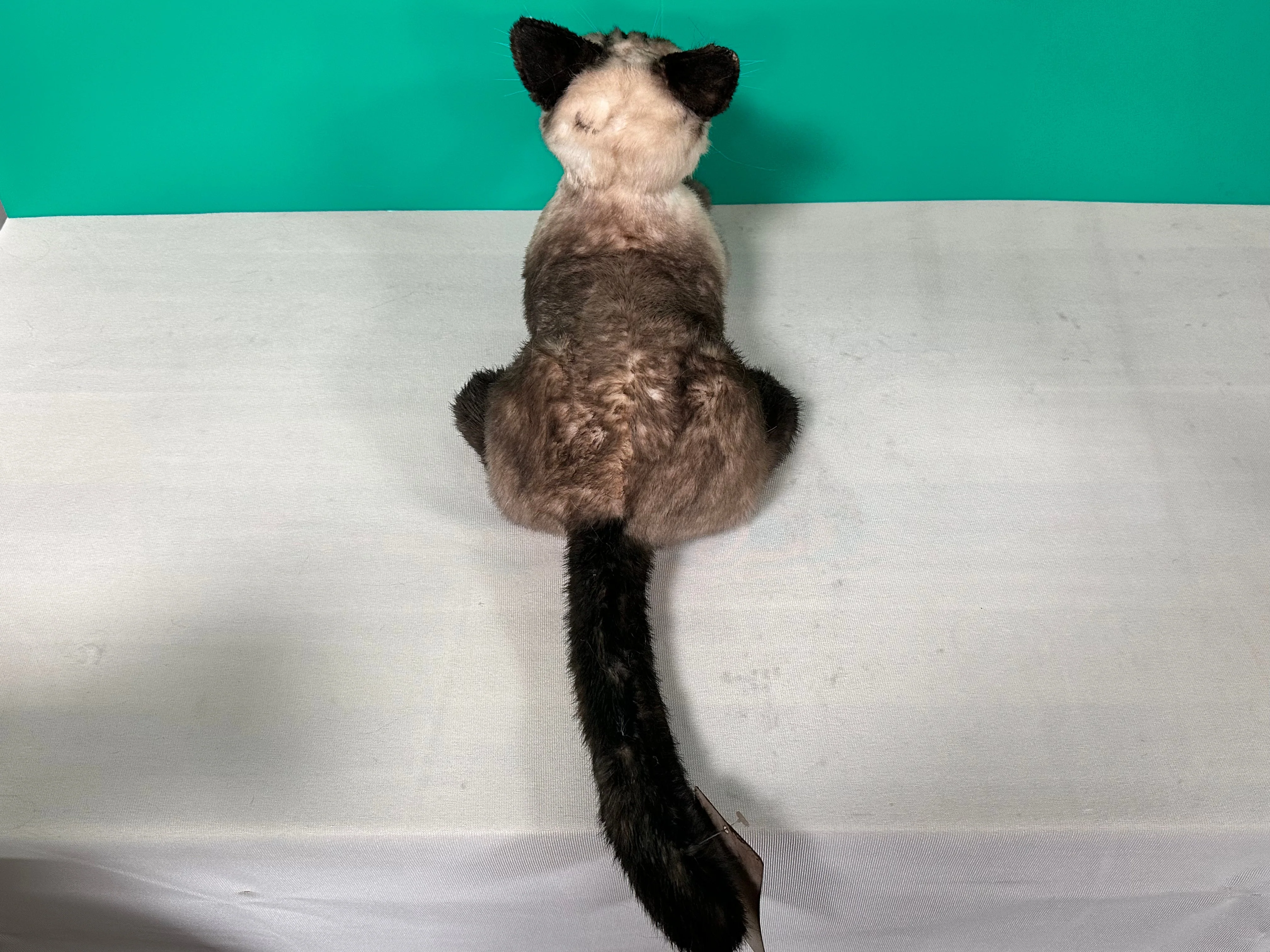 Plush Siamese Shorthair Cat Order to Make - Image 4