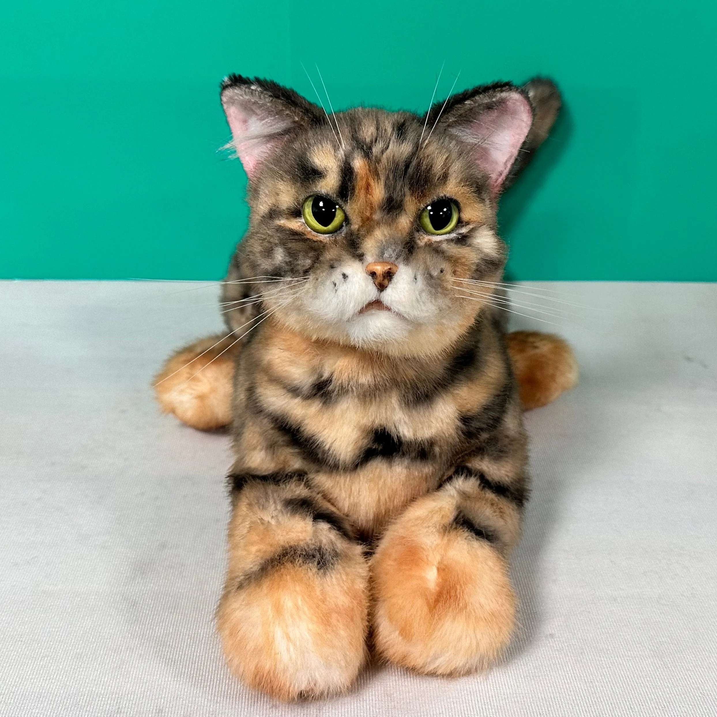 Plush Siamese Shorthair Cat Order to Make - Image 3