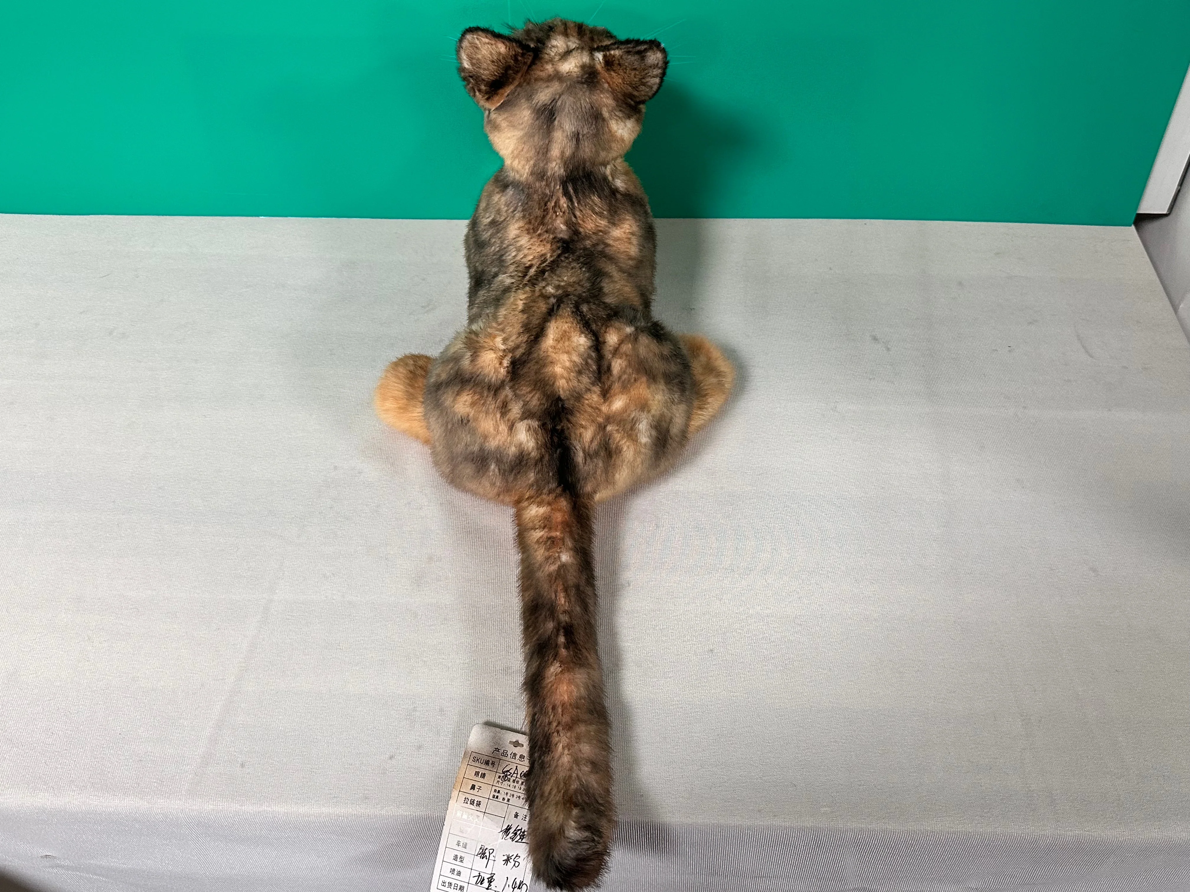 Plush Siamese Shorthair Cat Order to Make - Image 6