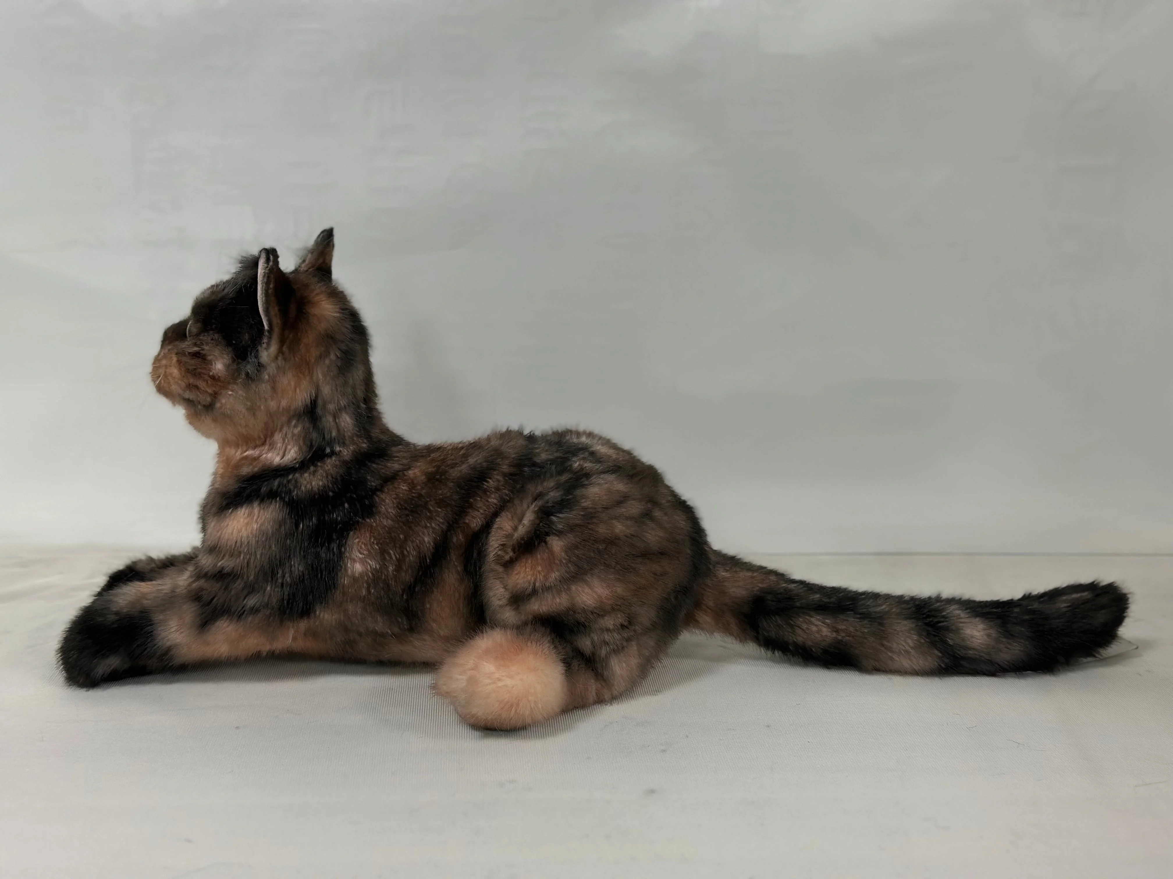 Plush Tortoiseshell Cat Shorthair Order to Make - Image 3