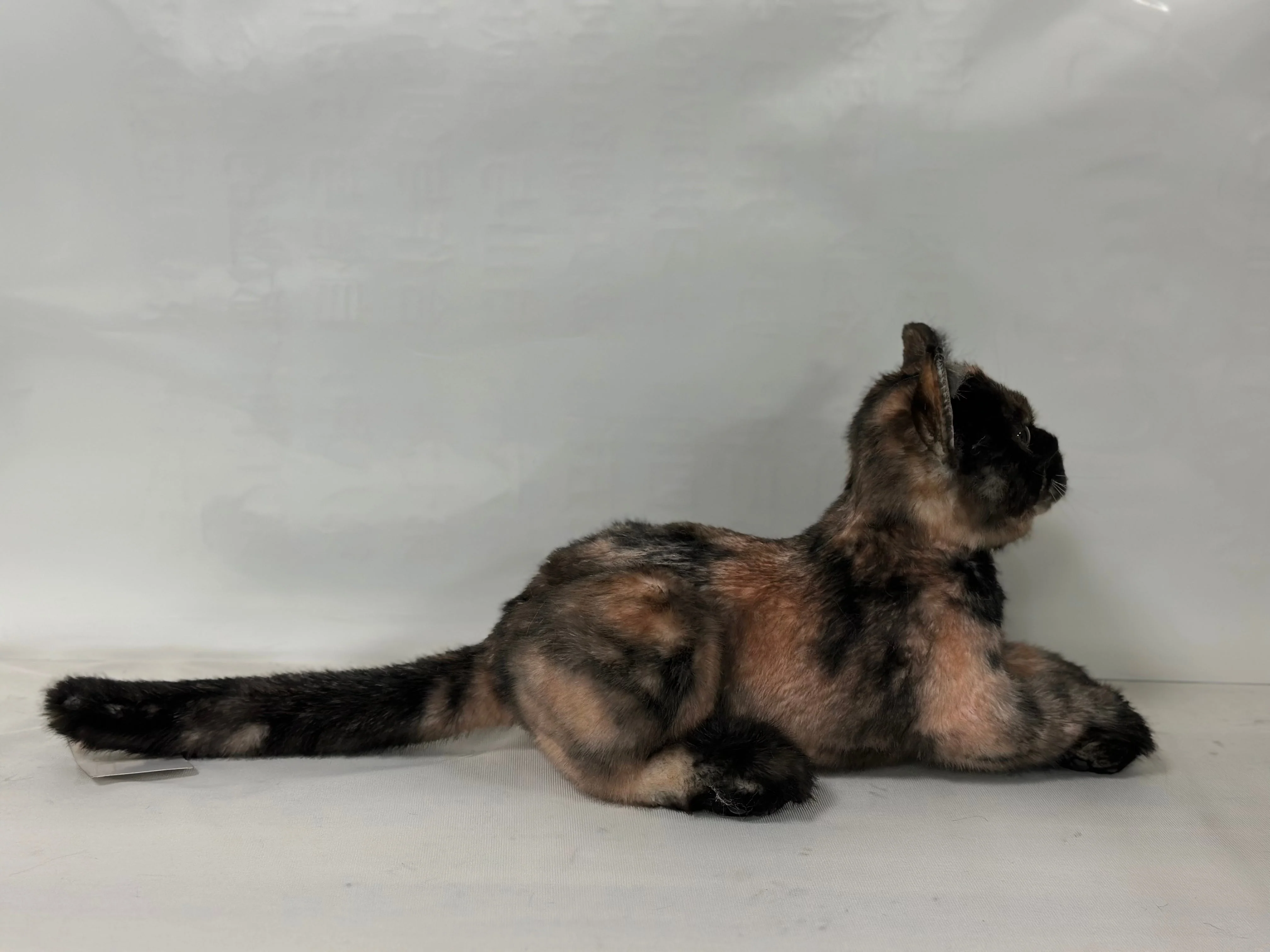 Plush Tortoiseshell Cat Shorthair Order to Make - Image 4
