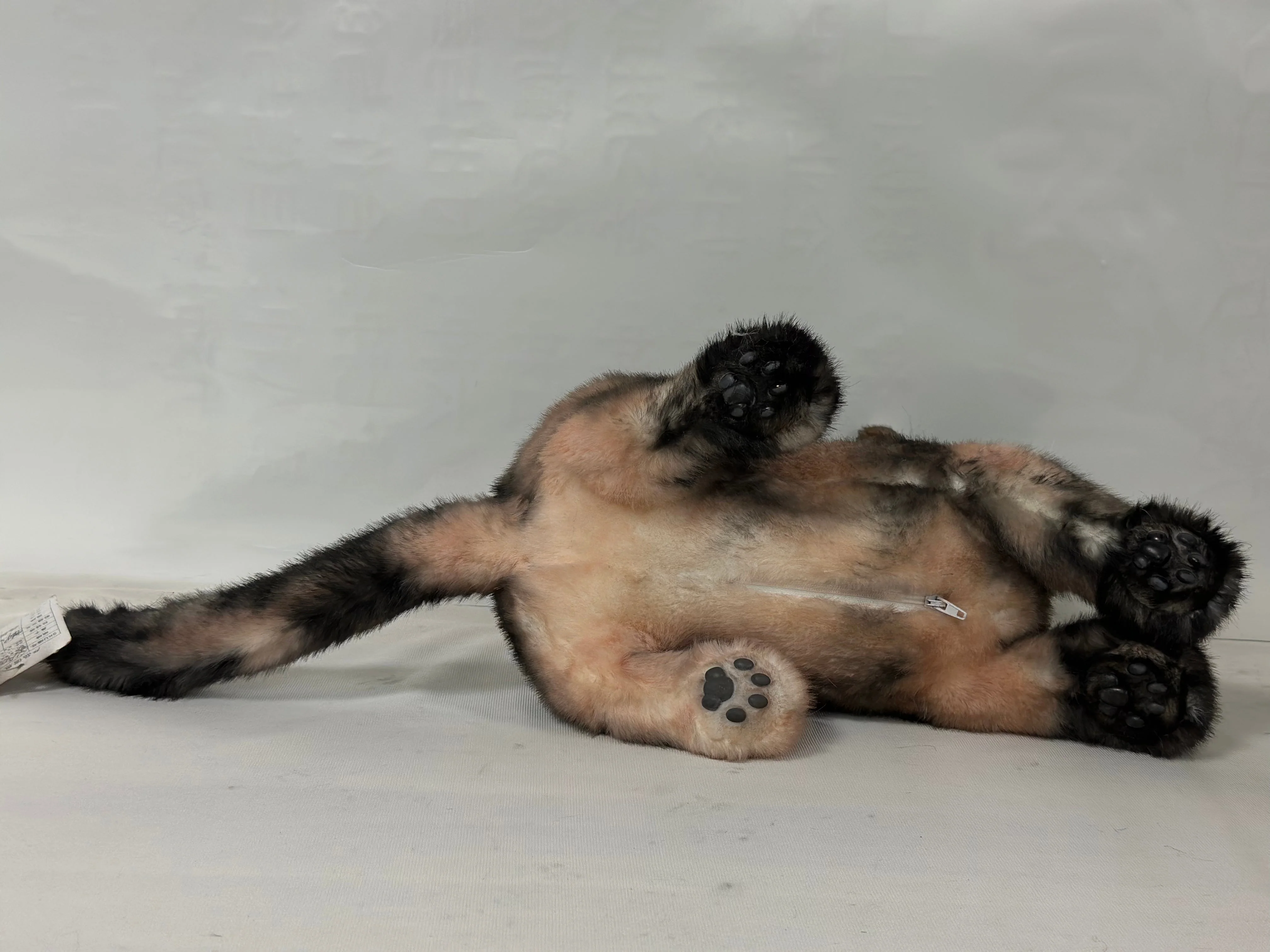 Plush Tortoiseshell Cat Shorthair Order to Make - Image 6