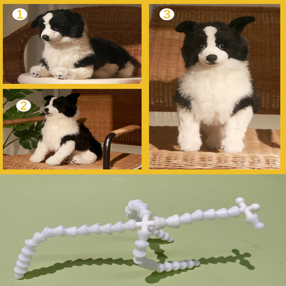 Posture(Cat)