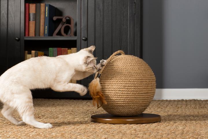 Prevue Kitty Power Paws® Sphere Scratching Post (13" H) - Image 4