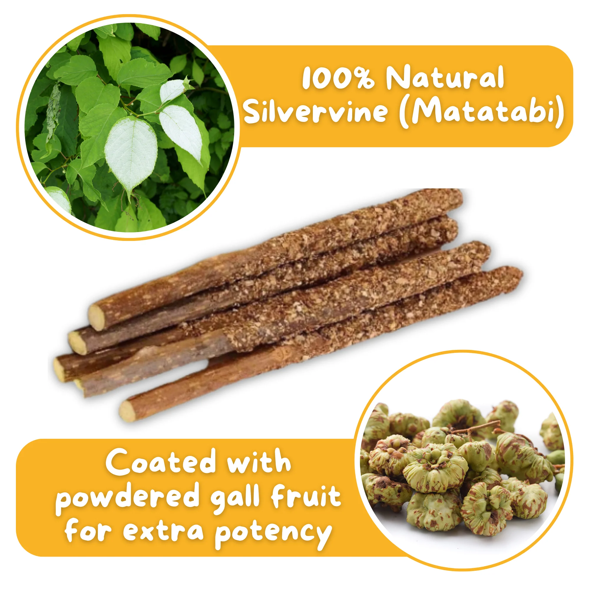 Premium Silvervine Sticks with Gall Fruit Powder (12 ct) - Image 3