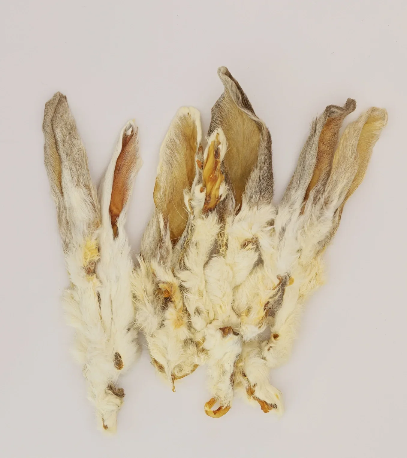 Rabbit Ear - 1 Count