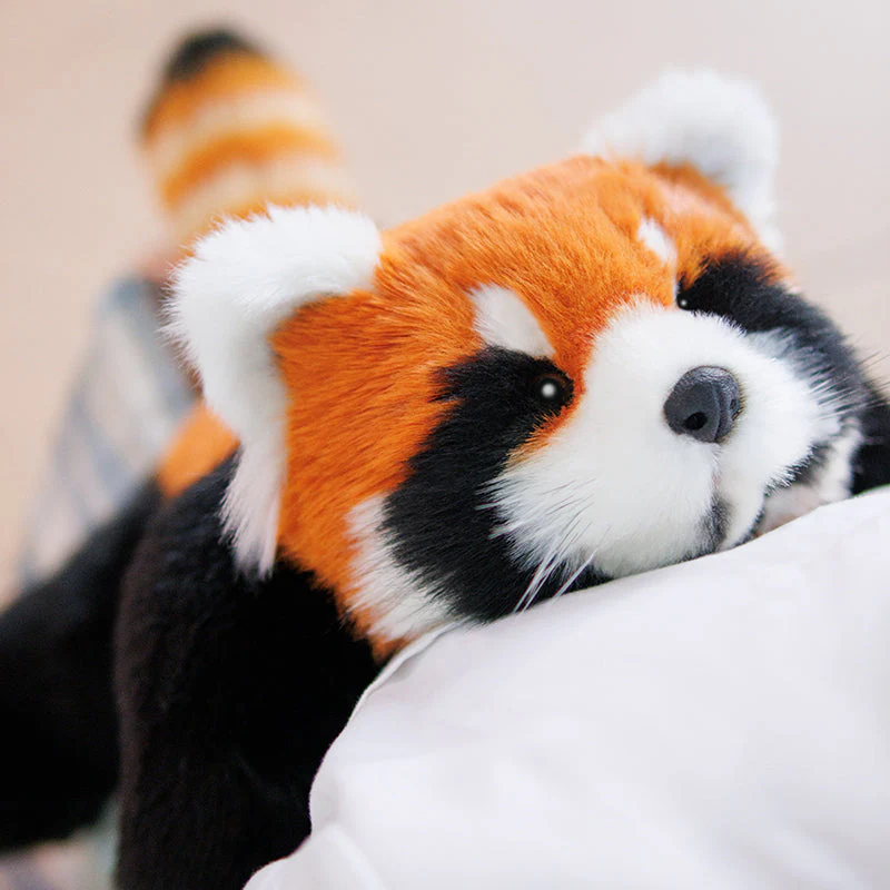 Red Panda Weighted Plush – Snuggle Toy for Stress Relief - Image 11