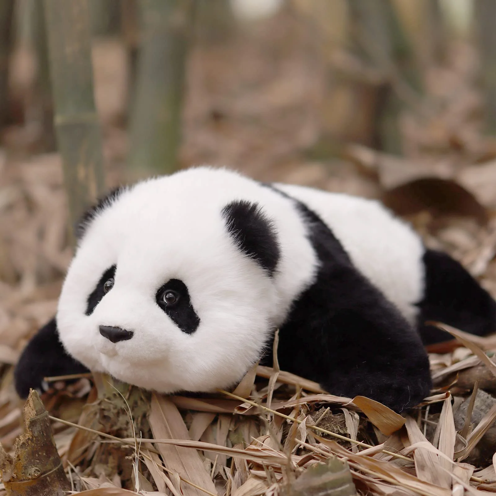 Red Panda Weighted Plush – Snuggle Toy for Stress Relief - Image 14