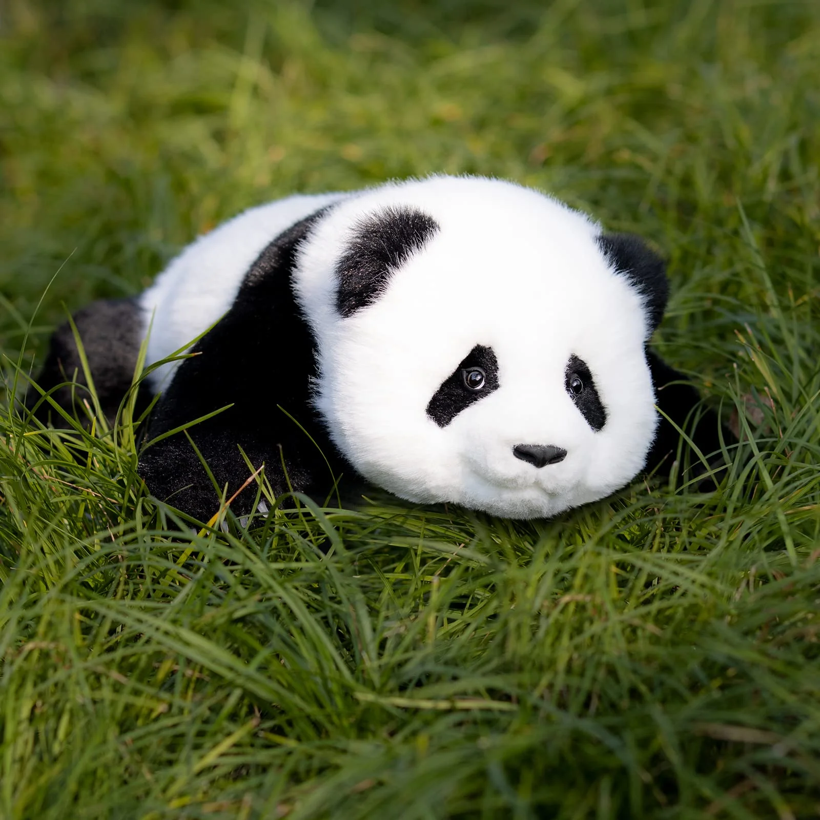 Red Panda Weighted Plush – Snuggle Toy for Stress Relief - Image 15