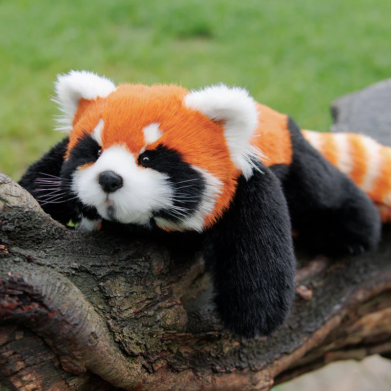 Red Panda Weighted Plush – Snuggle Toy for Stress Relief - Image 2