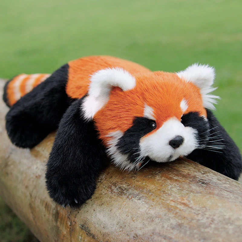 Red Panda Weighted Plush – Snuggle Toy for Stress Relief - Image 5