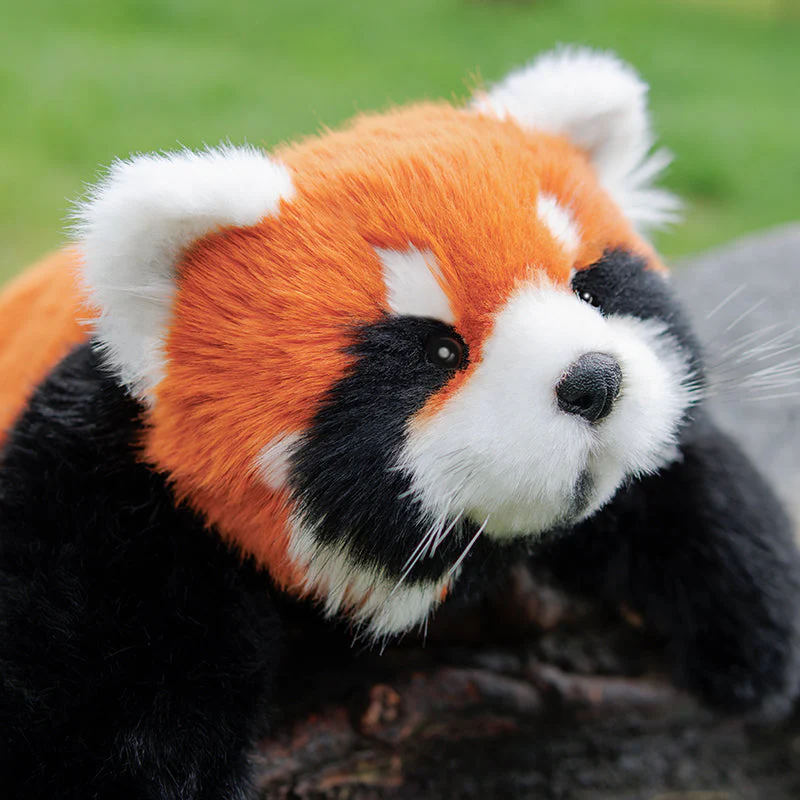 Red Panda Weighted Plush – Snuggle Toy for Stress Relief - Image 6
