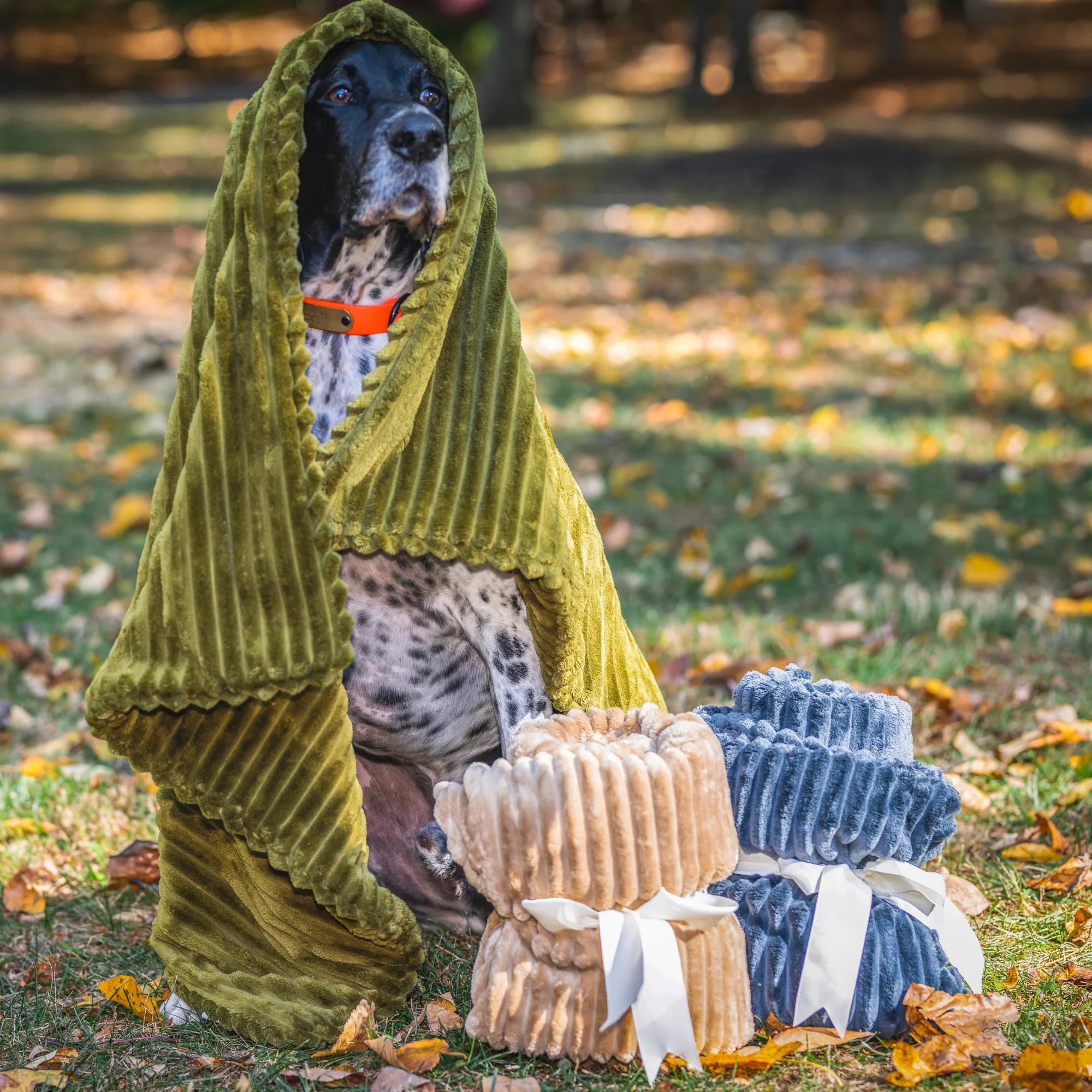Scout Blankie Double-Sided Plush Dog Blanket - Image 14