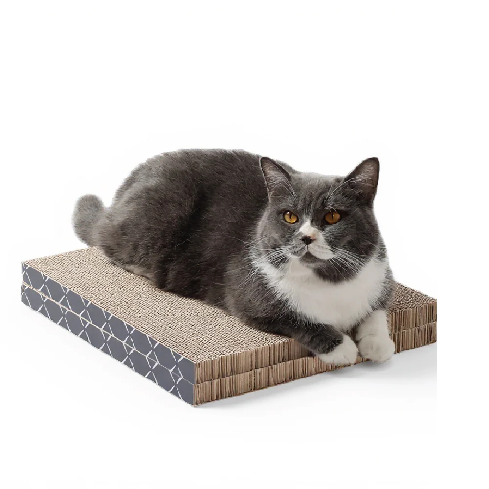 Scratch Pad Refills for Hide & Scratch Box (or use on their own) - Image 3