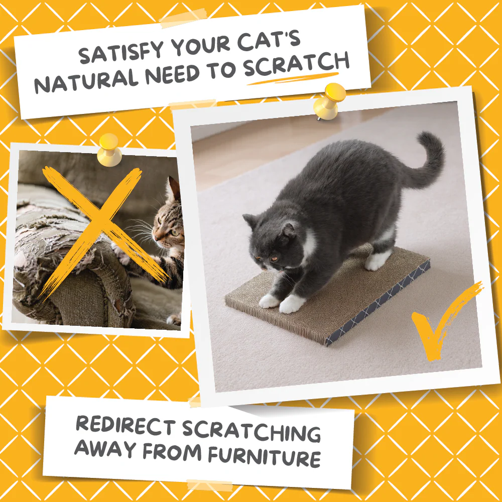 Scratch Pad Refills for Hide & Scratch Box (or use on their own) - Image 5