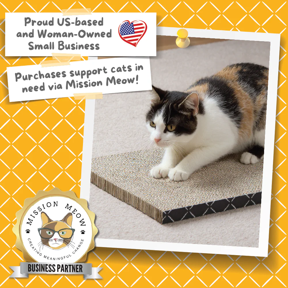 Scratch Pad Refills for Hide & Scratch Box (or use on their own) - Image 6