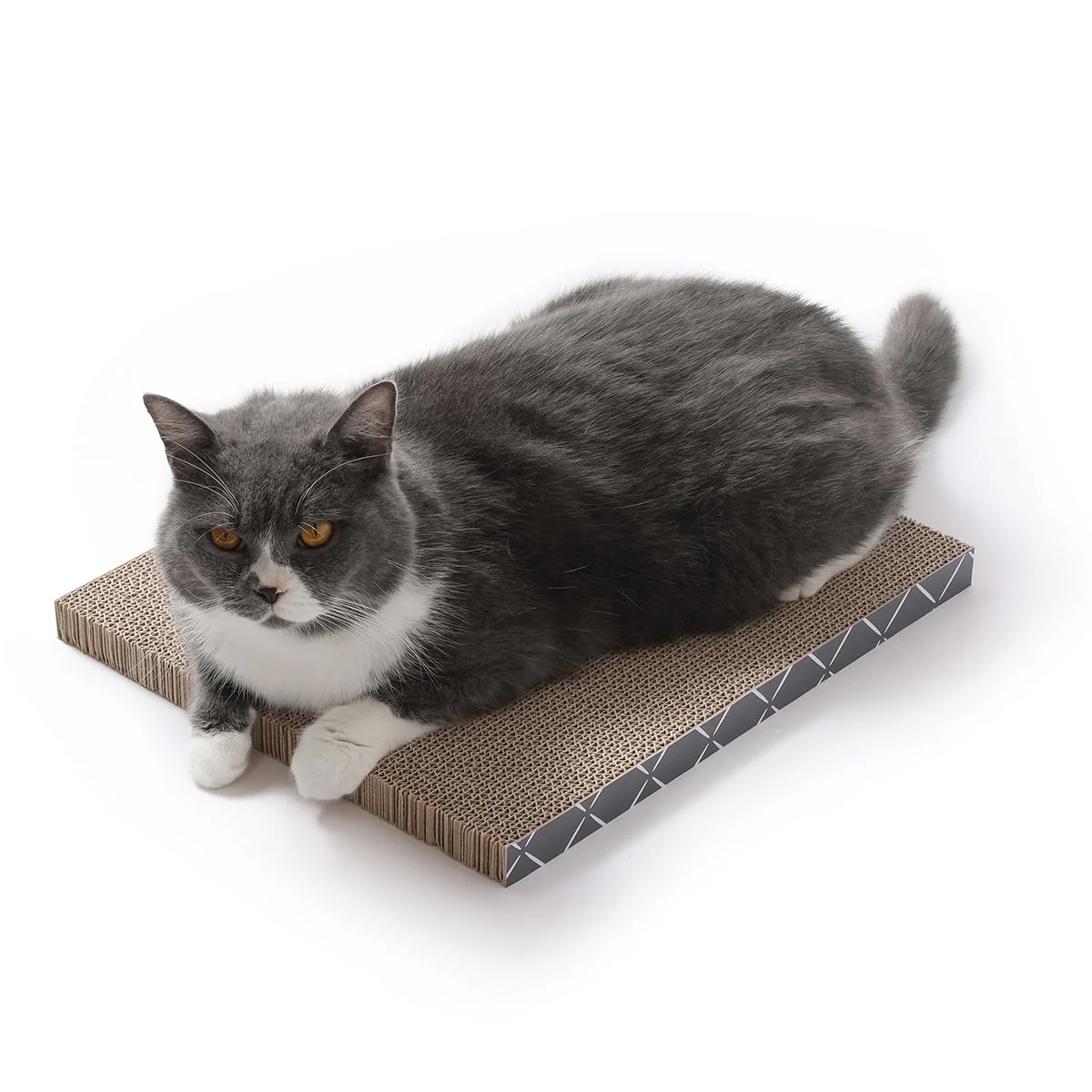 Scratch Pad Refills for Hide & Scratch Box (or use on their own) - Image 8