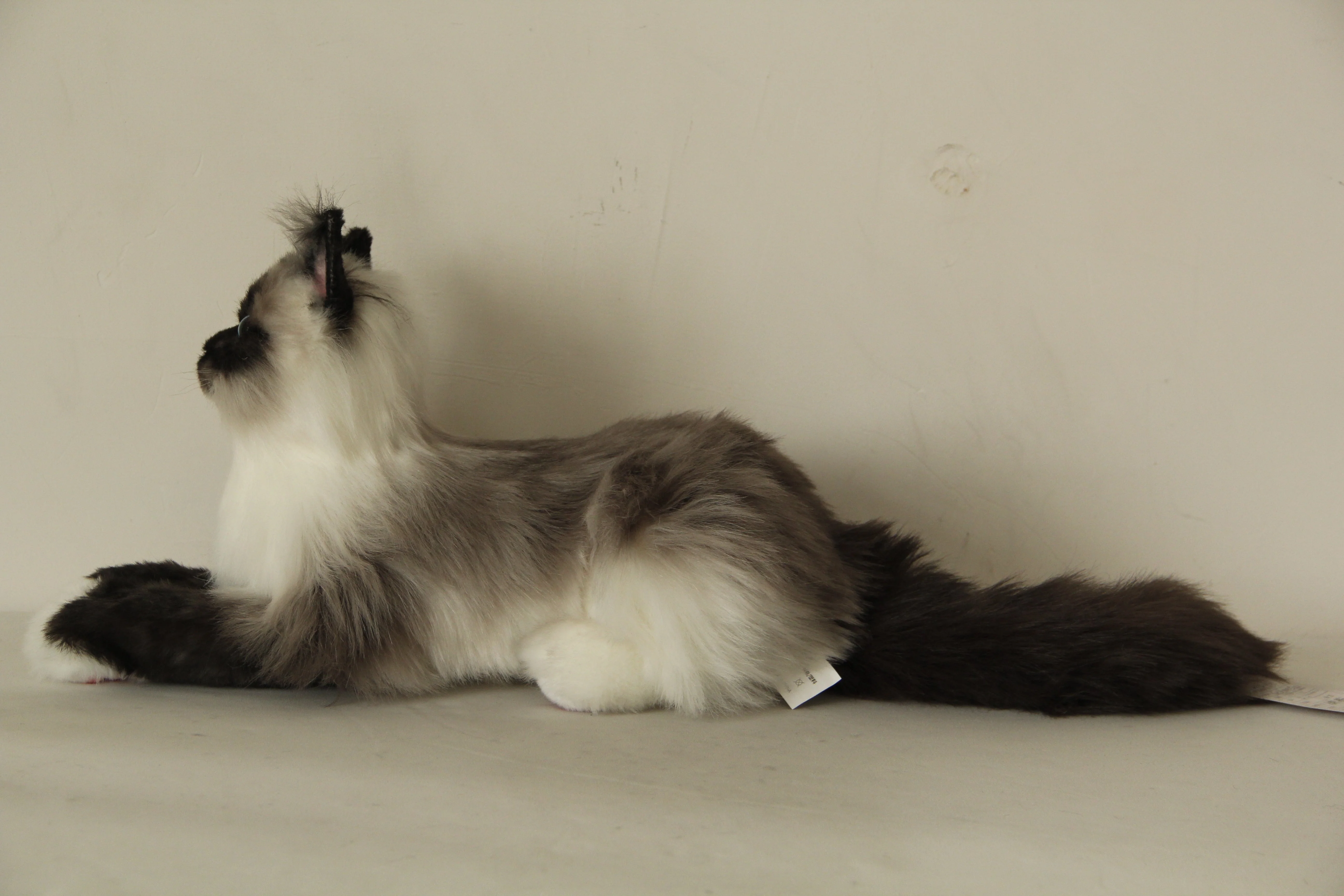 Siamese Cat Longhair MADE-TO-ORDER - Image 3