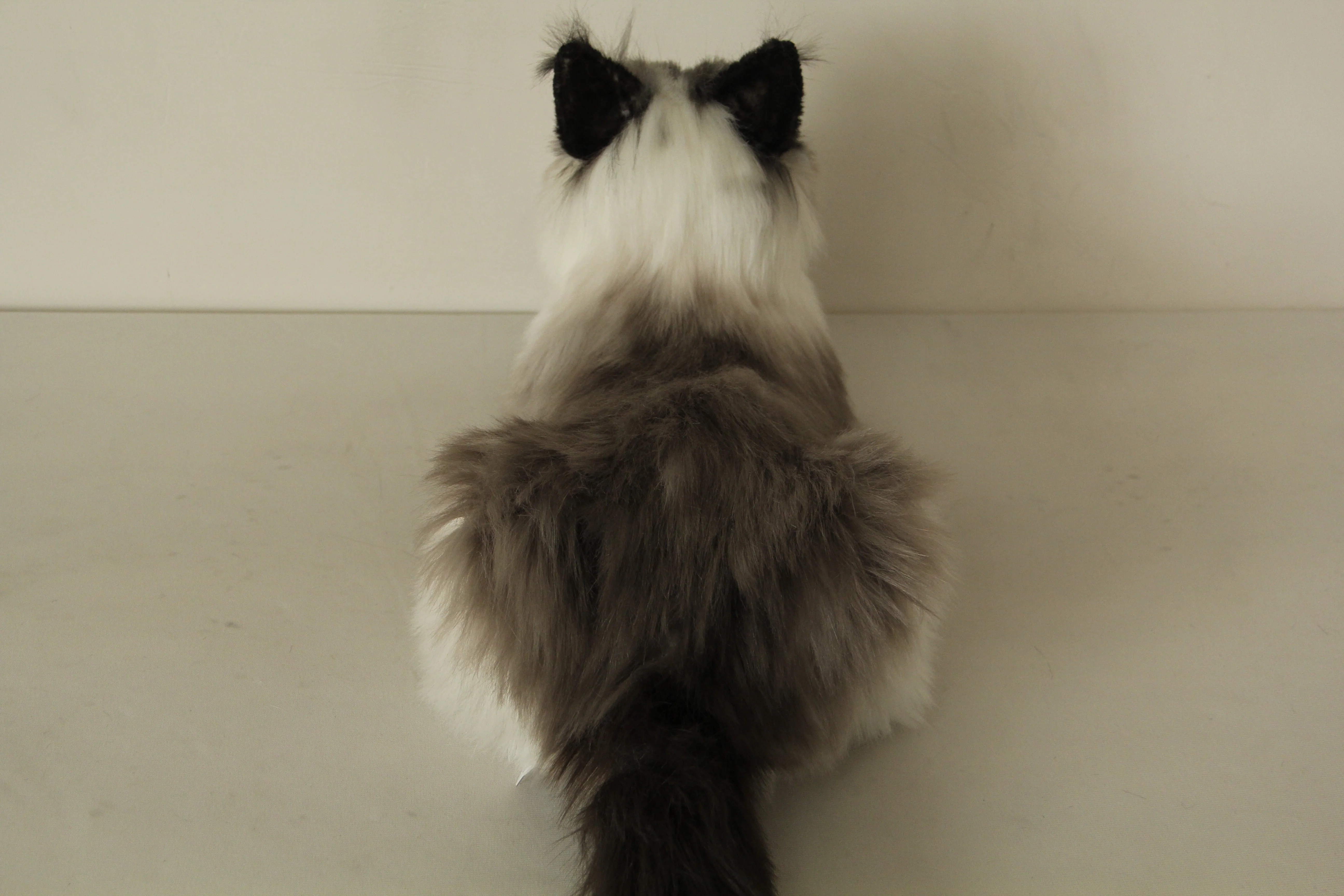Siamese Cat Longhair MADE-TO-ORDER - Image 4